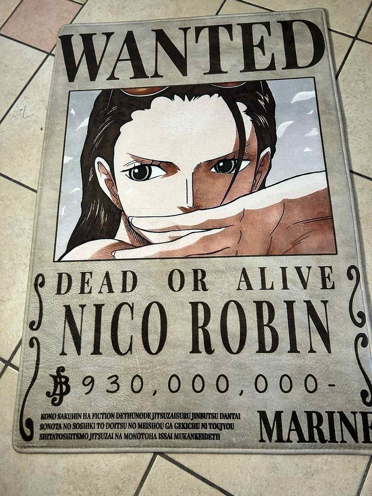 Robin Wanted Poster - One Piece