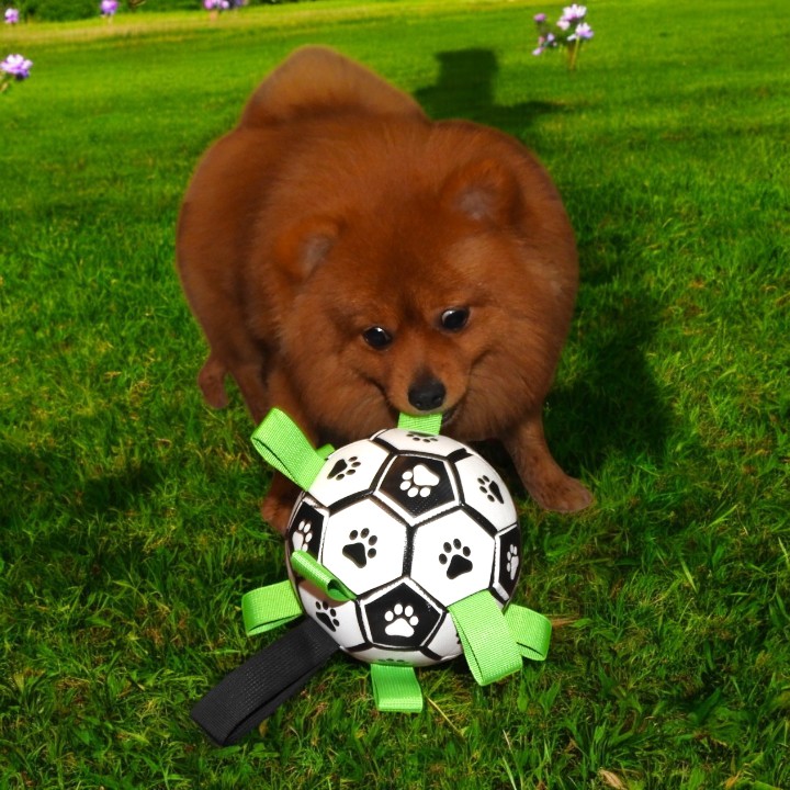 PawKick Dog Soccer Ball – The Ultimate Playtime Toy!