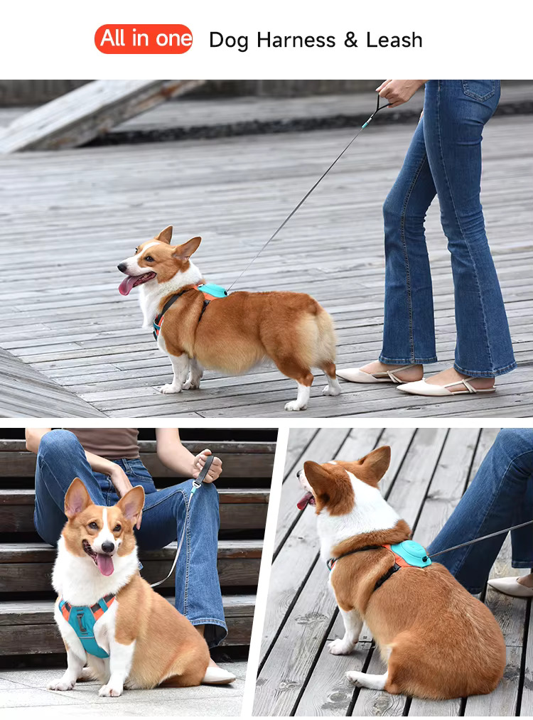 All-in-One Retractable Dog Harness & Leash Set