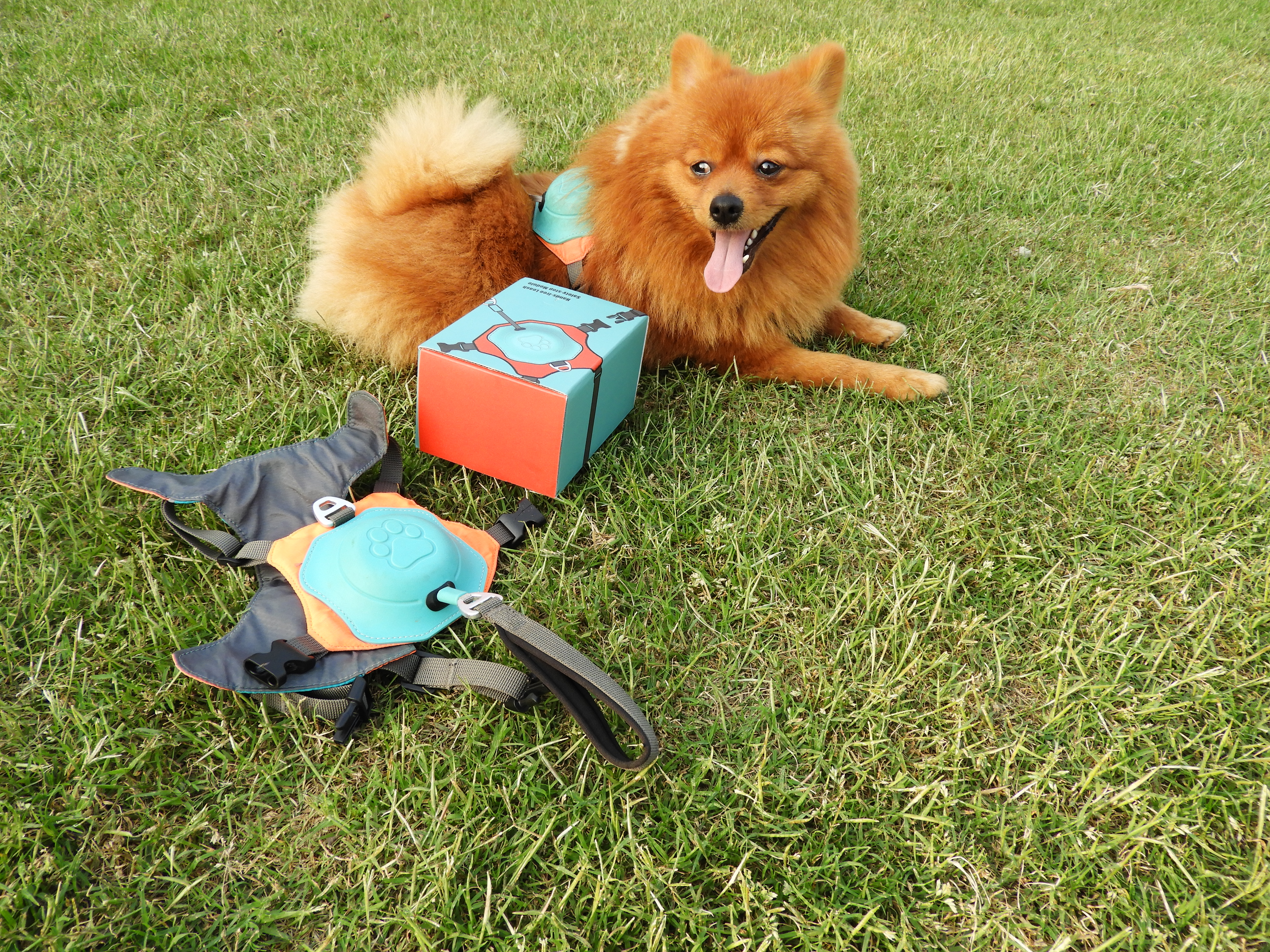 All-in-One Retractable Dog Harness & Leash Set