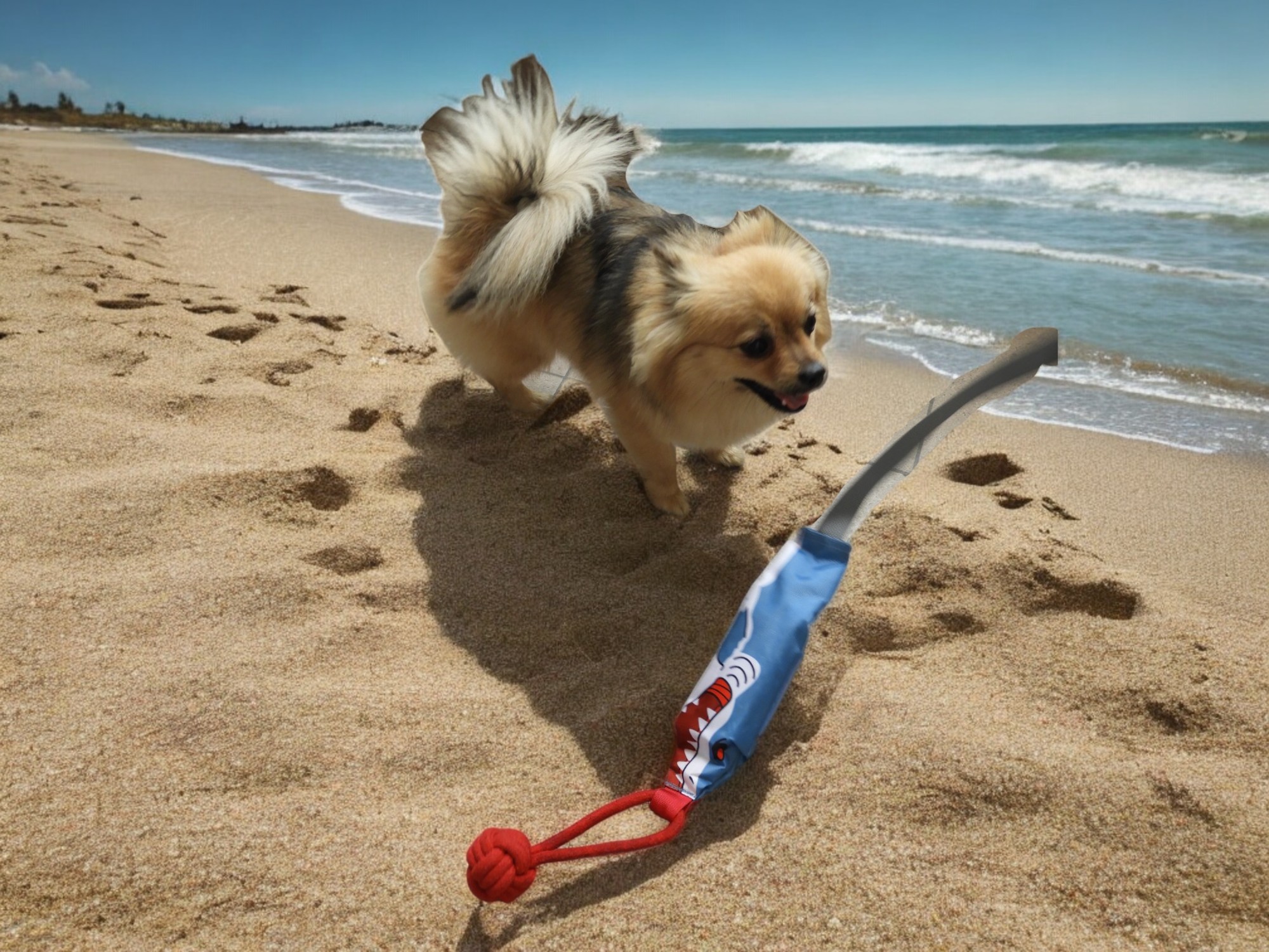 Shark-Themed Interactive Dog Tug Toy