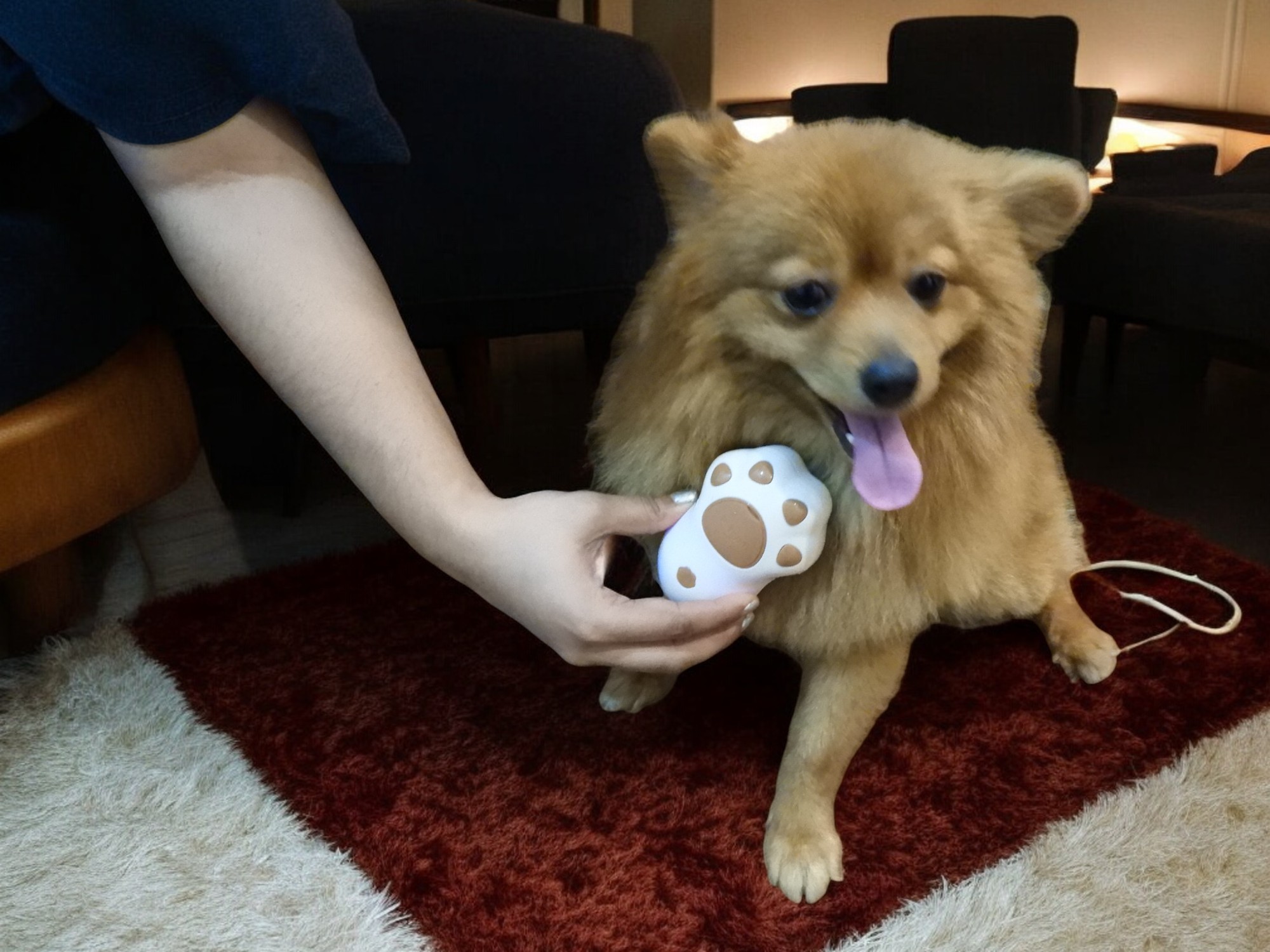 3-in-1 Pet Steam Massage & Grooming Brush