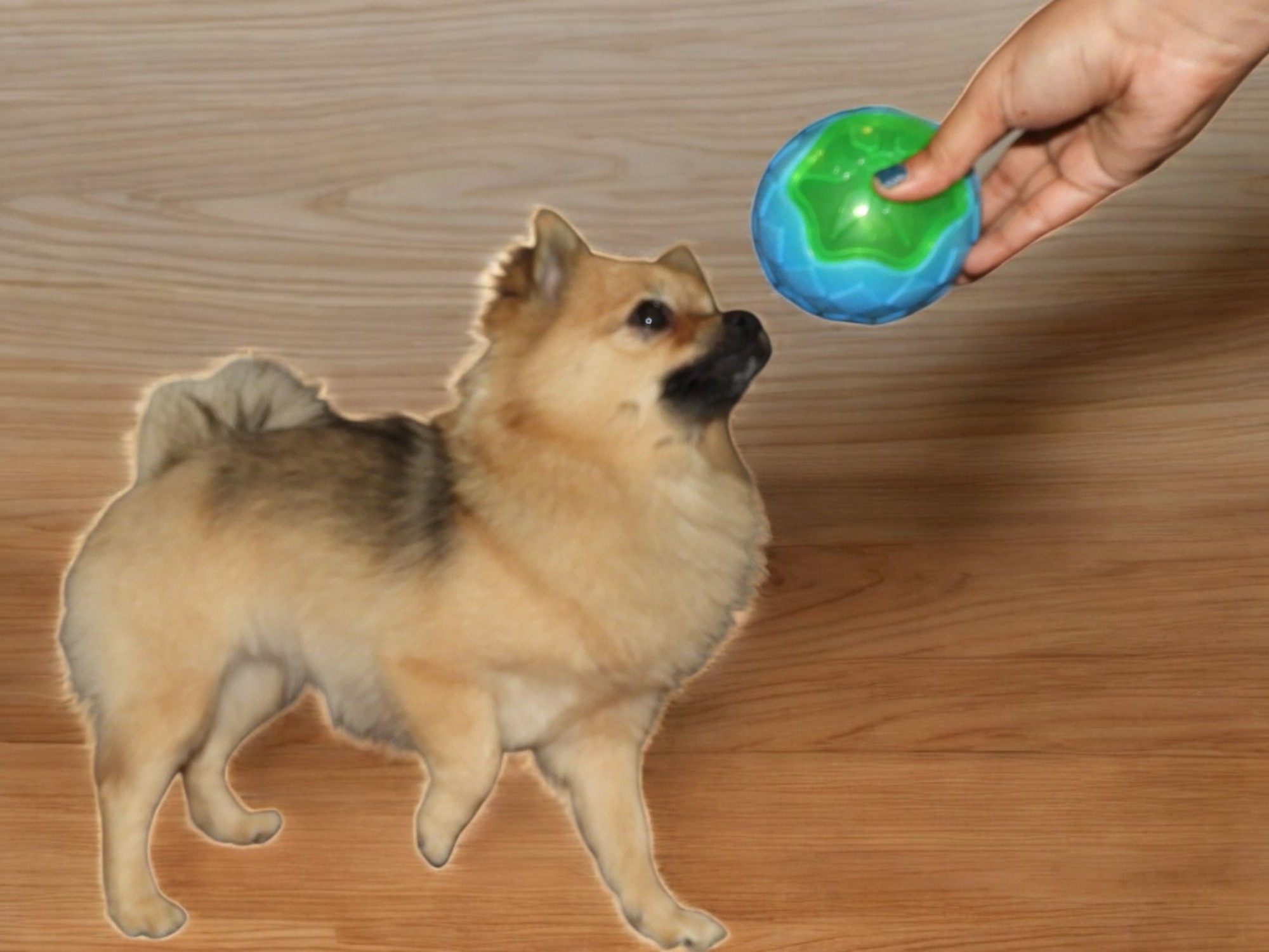 GlowPup LED Ball – Light-Up, Squeaky, Bouncy Fun for Dogs