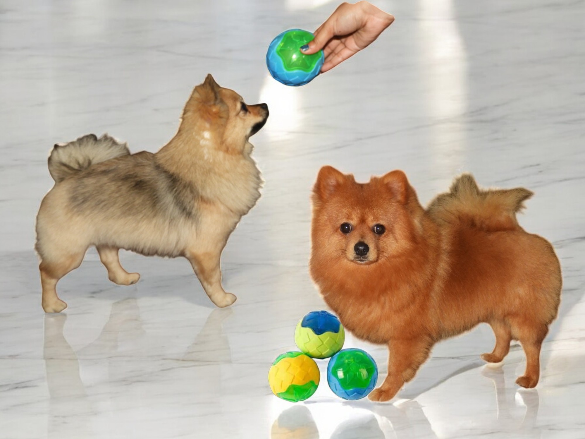 GlowPup LED Ball – Light-Up, Squeaky, Bouncy Fun for Dogs