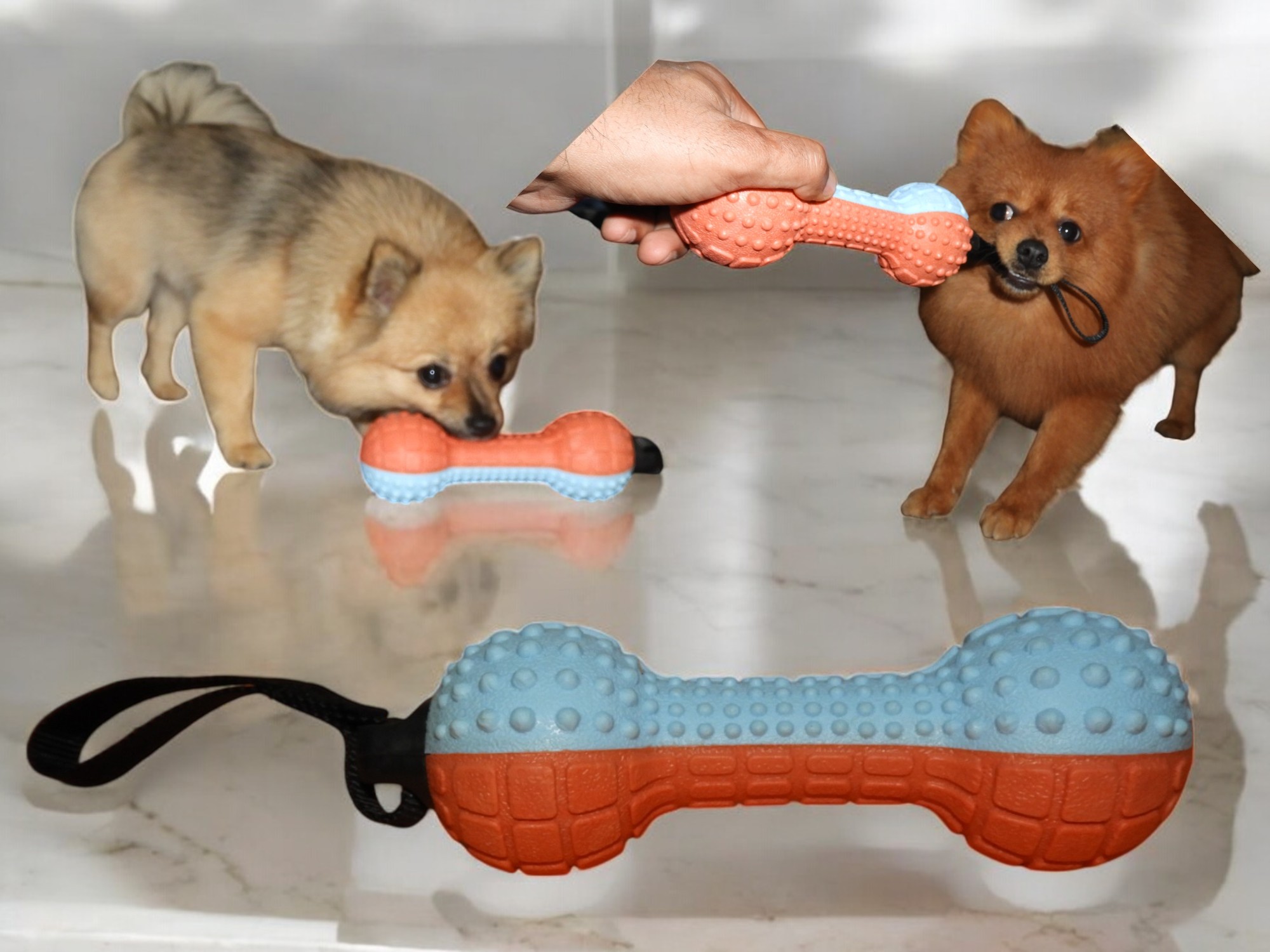 TugTuff DuoBone – 2-Tone Textured Dumbbell Toy for Dogs