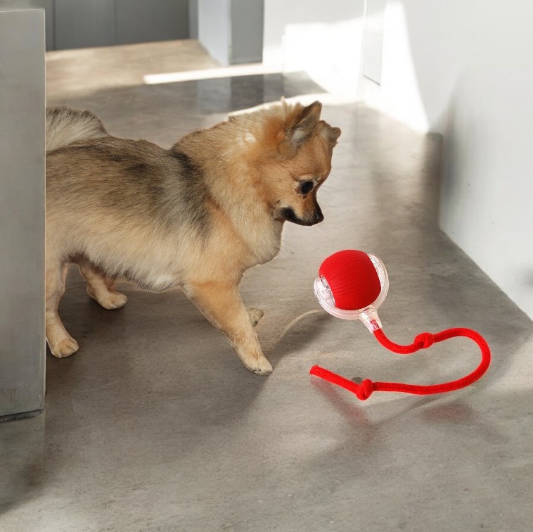  SparkChew Reactor - The Ultimate Interactive LED Chew Toy