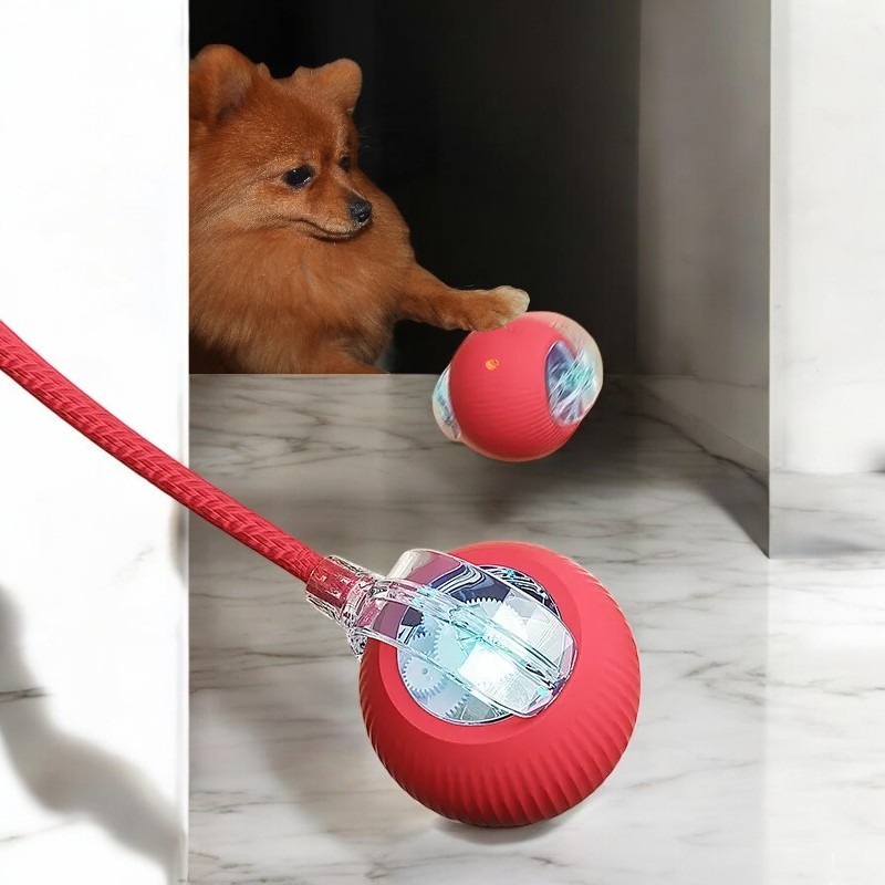  SparkChew Reactor - The Ultimate Interactive LED Chew Toy