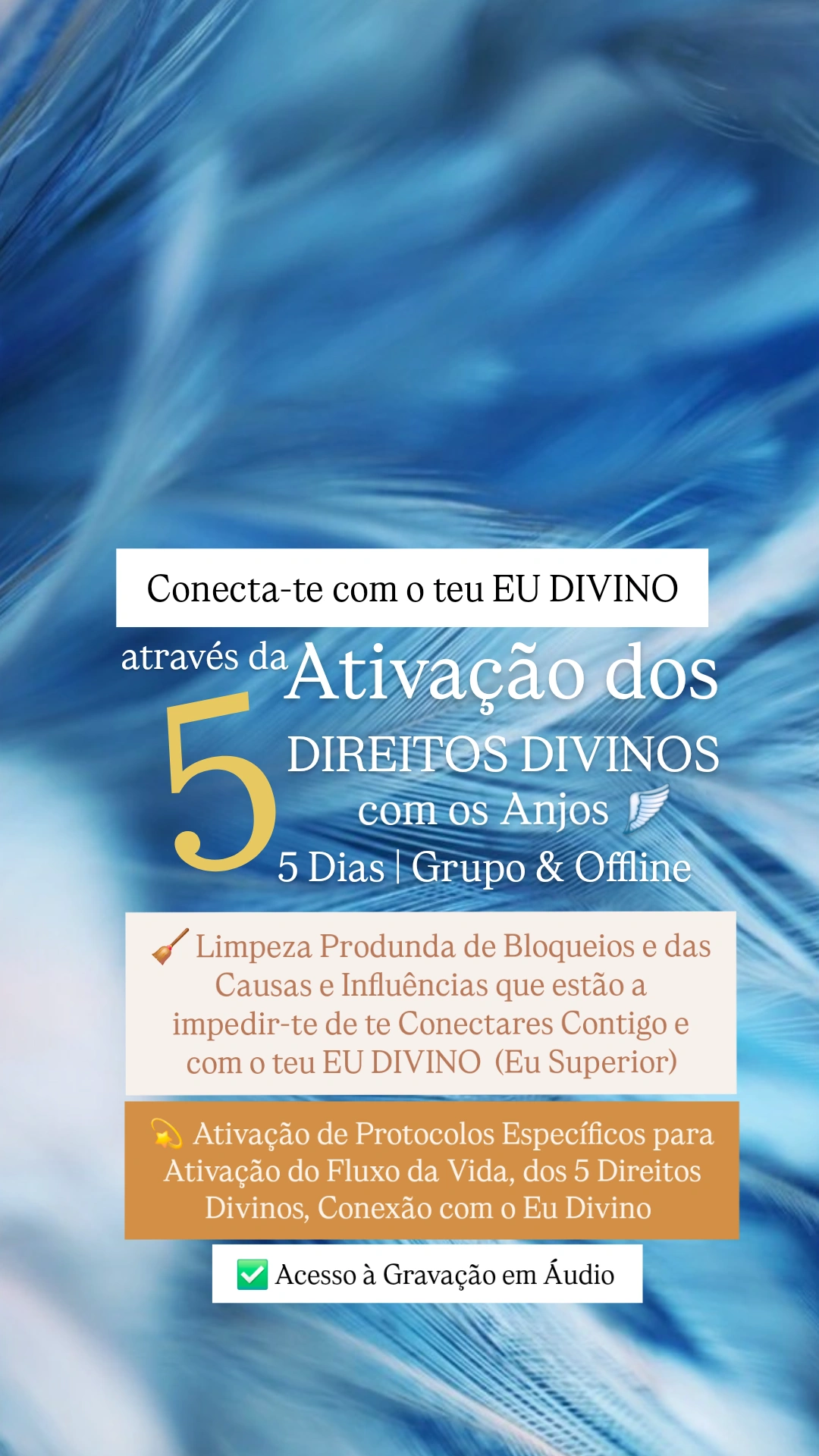 Ativa os 5 Direitos Divinos com os Anjos🪽
