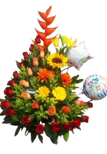 Explosión de Alegría