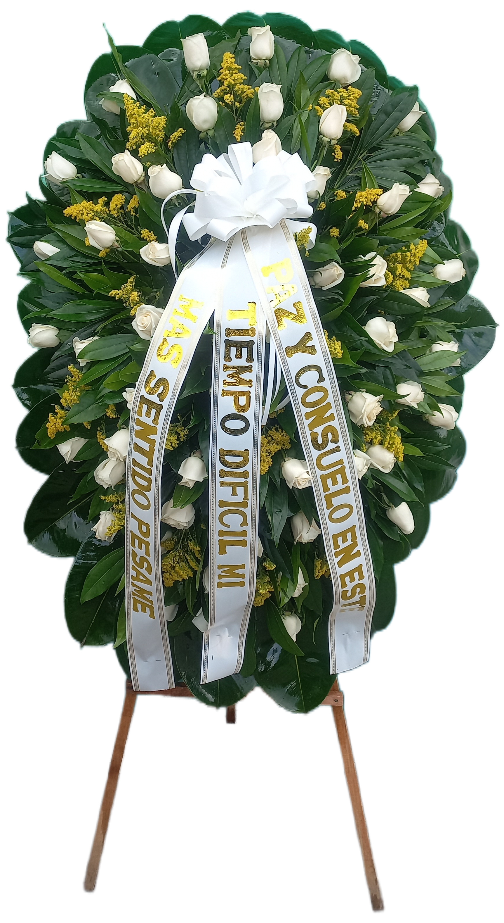 Pedestal Memoria Viva