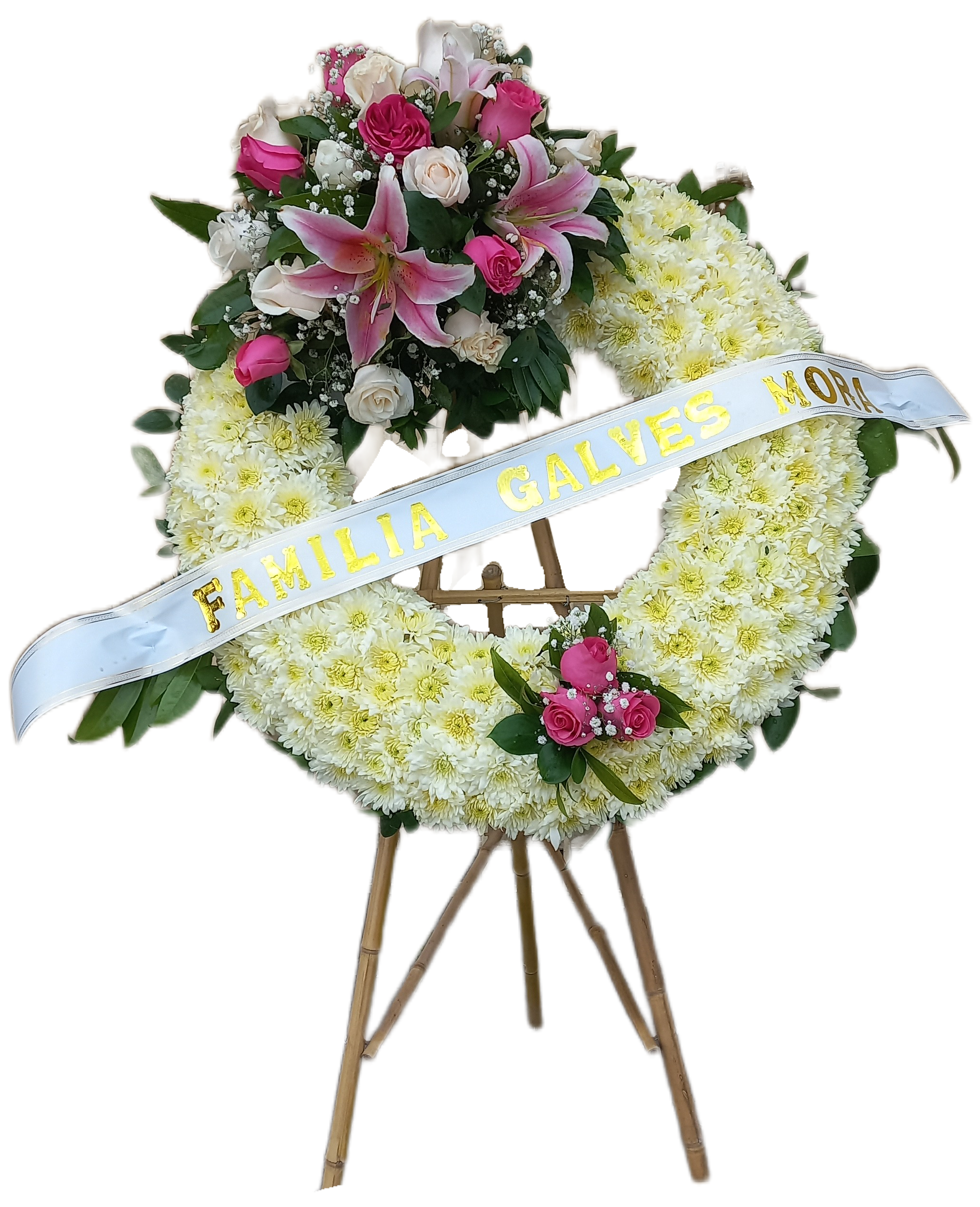 Corona Espíritu Noble