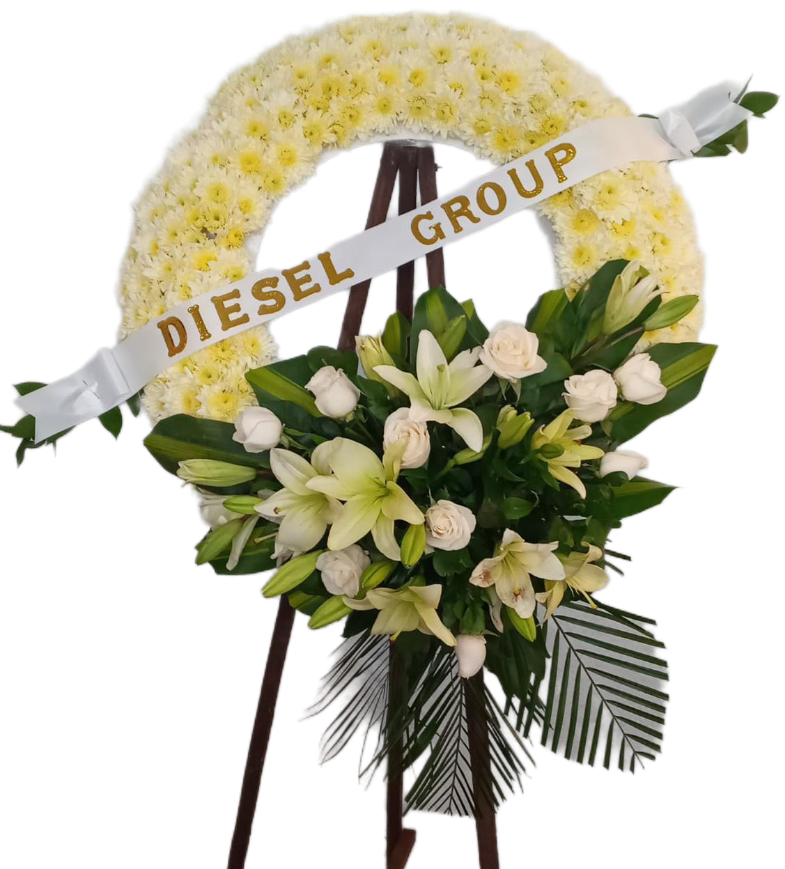 Corona Cielo Abierto