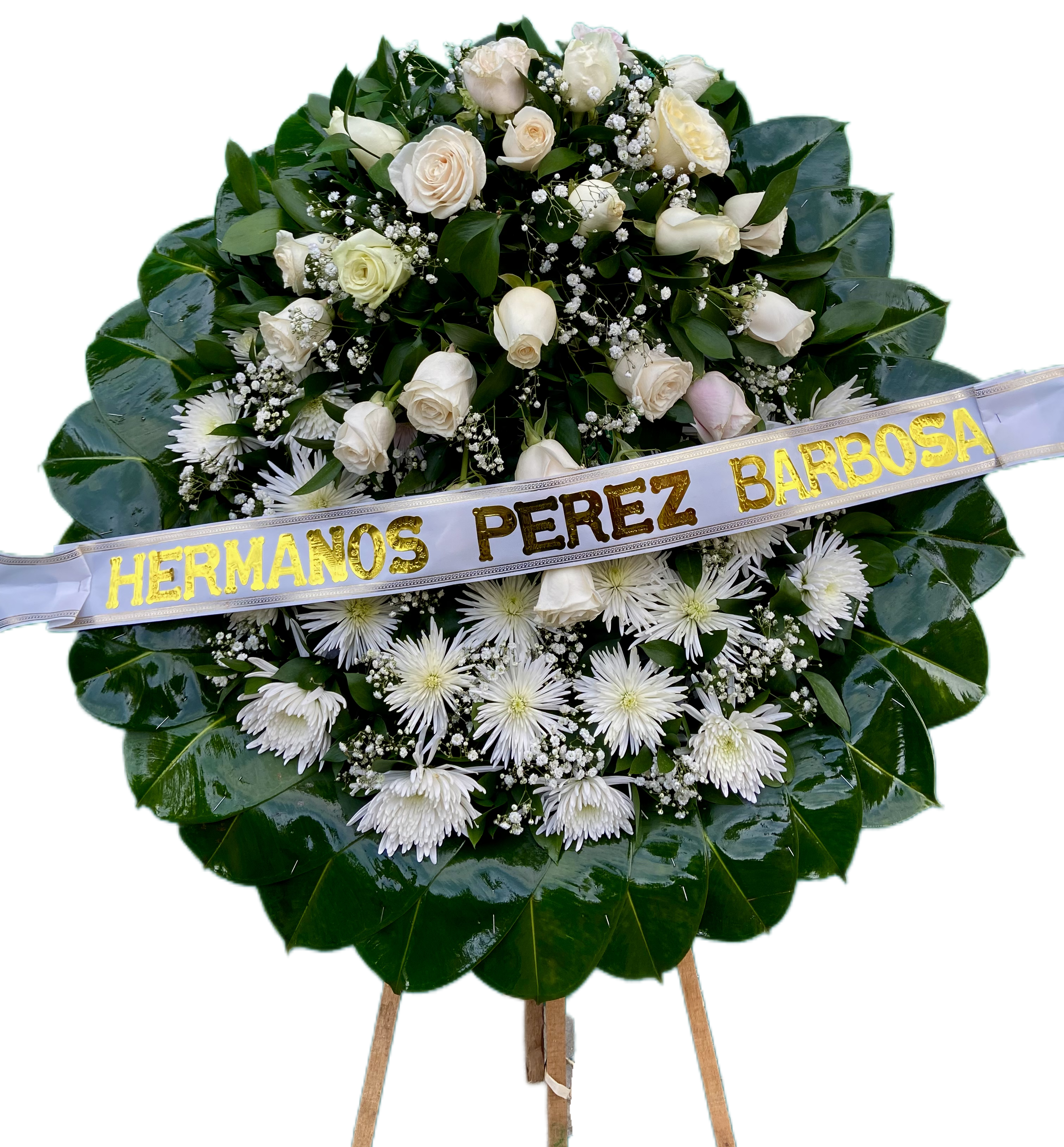 Corona Gracia Divina