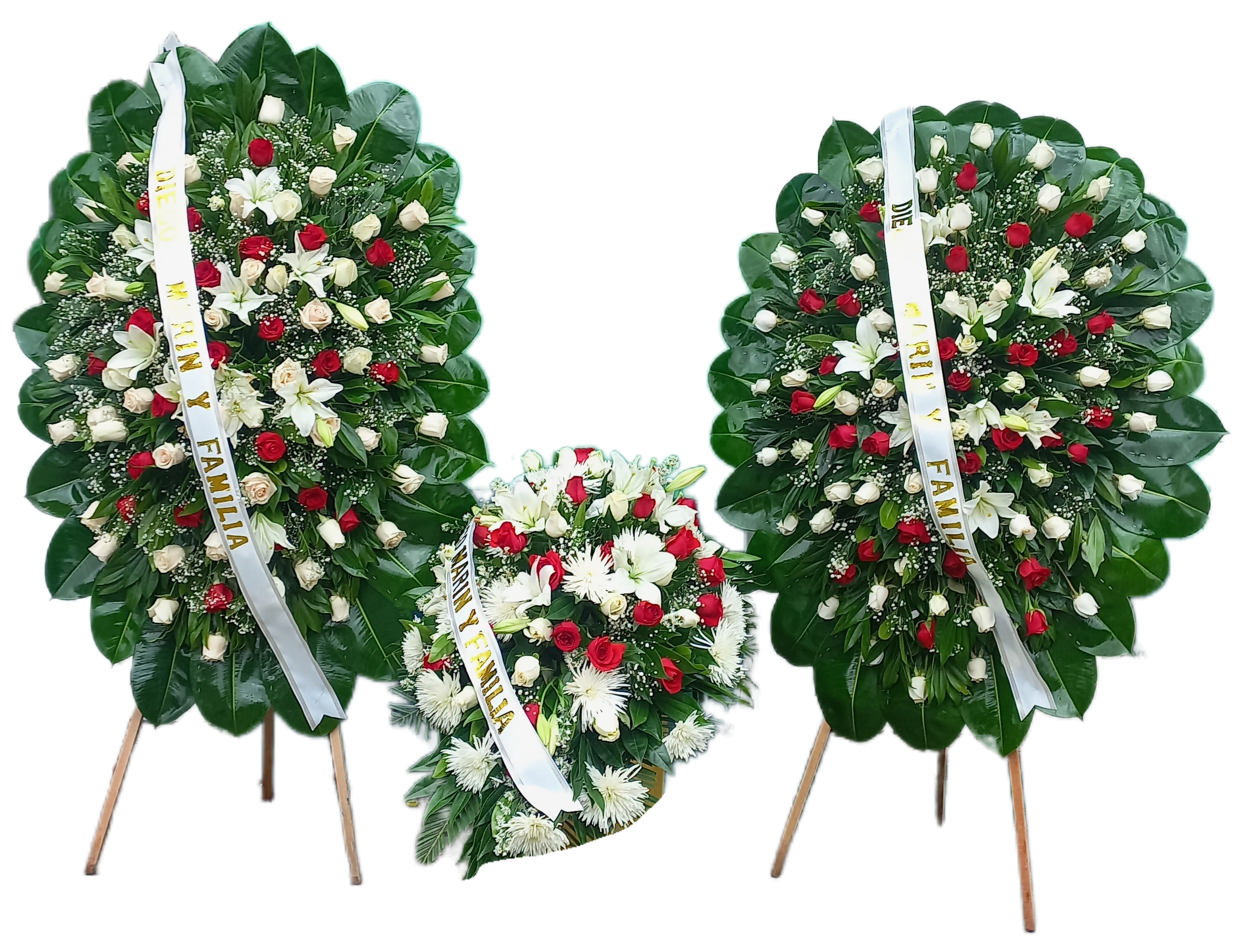 Trio Jardín del Alma