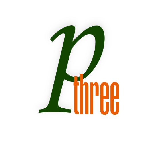 P3: Portfolio Development