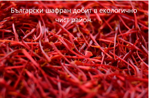 Синбиотик с шафран