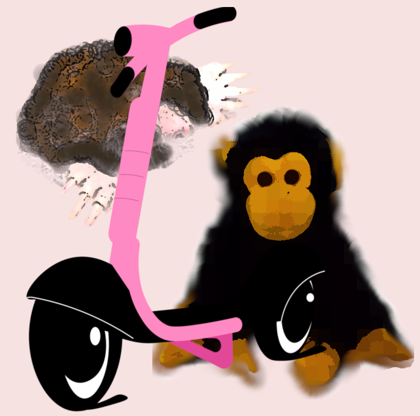 Huli i Babki z Piasku