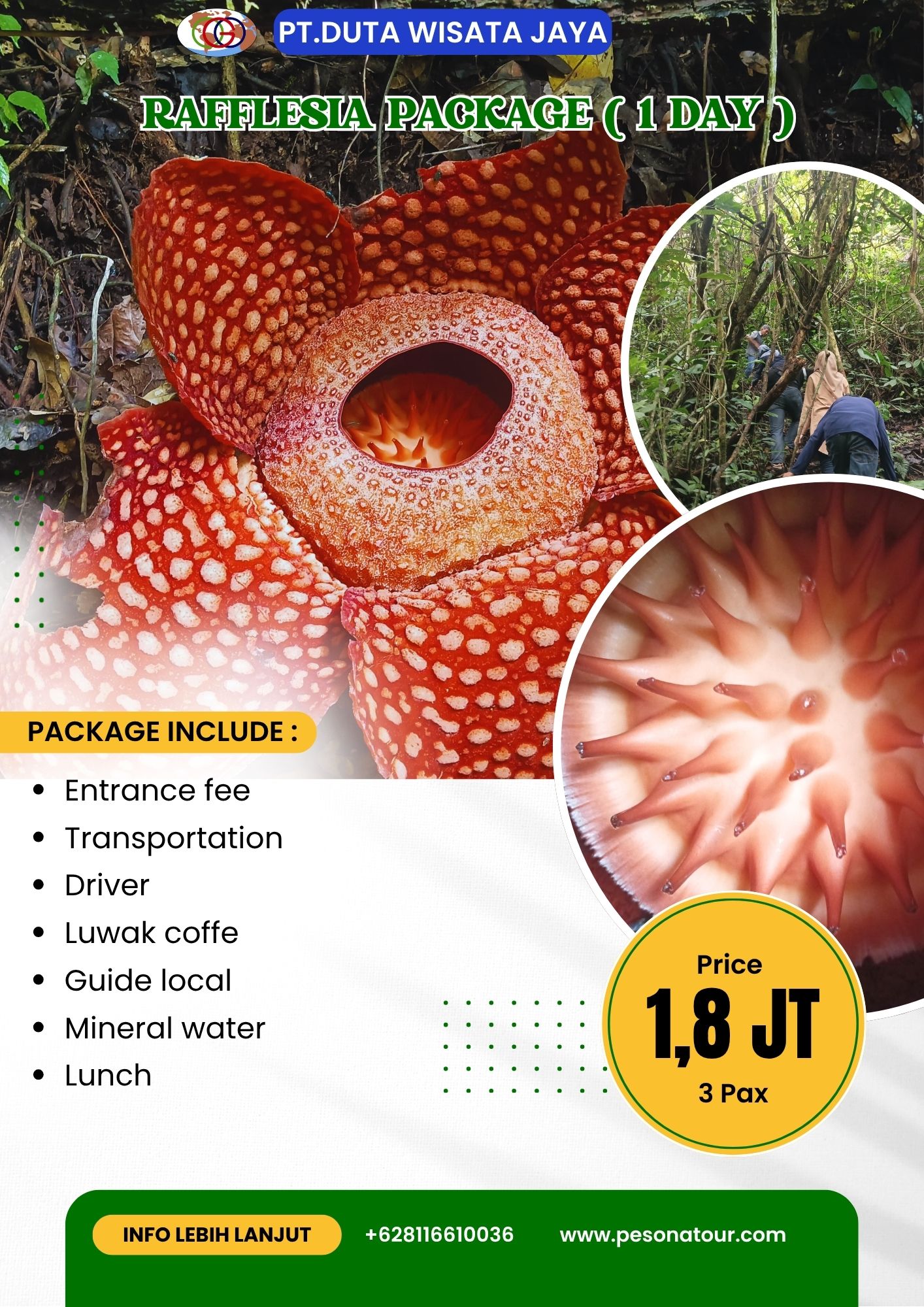 One Day Rafflesia Package Tour