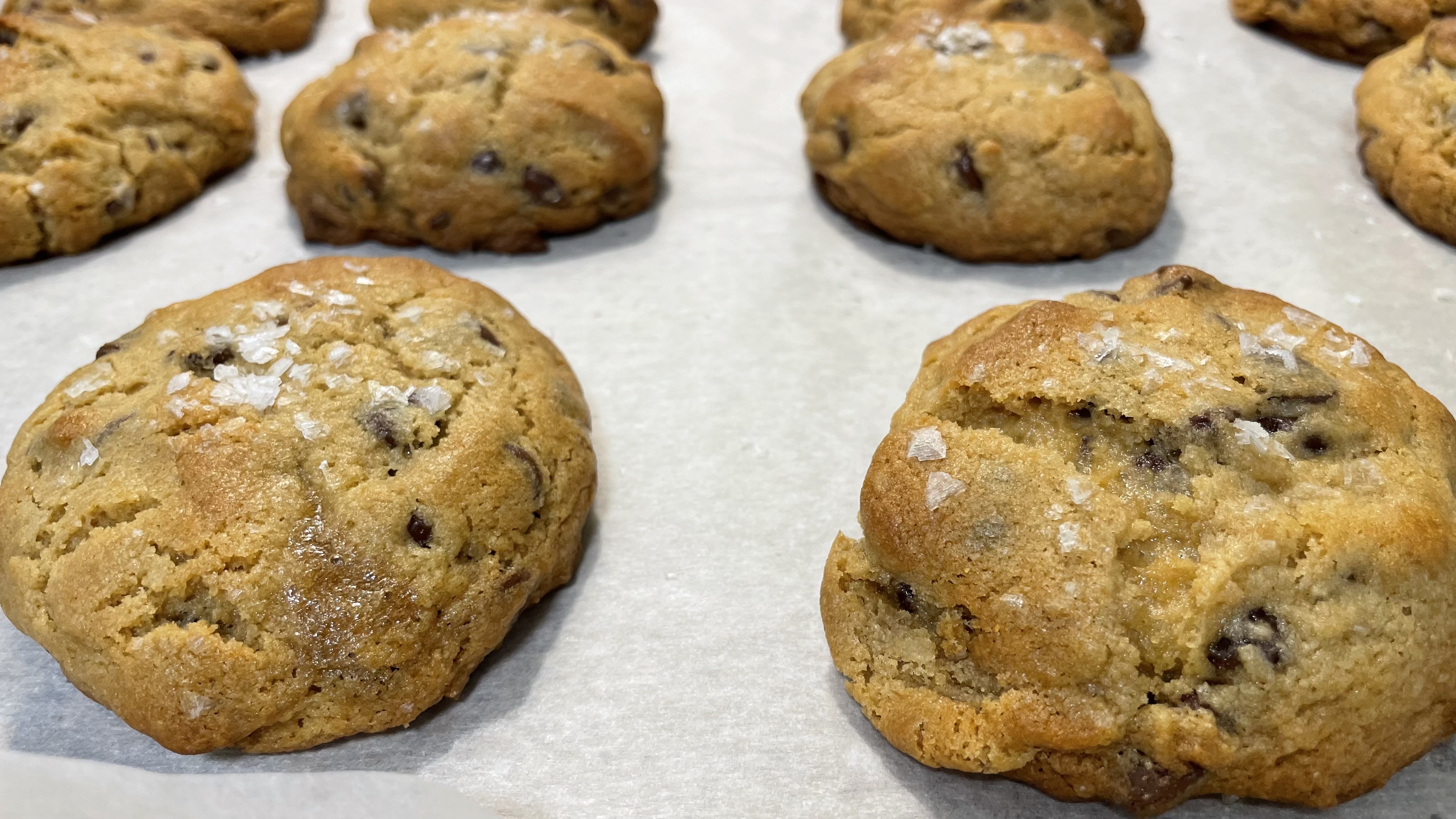 Salted Chocolate Chip Walnut Cookies