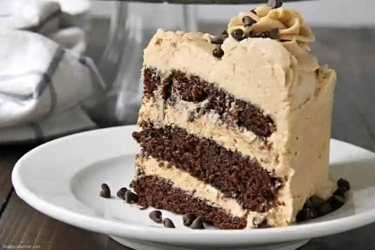 Chocolate Cake w/ peanut butter buttercream 