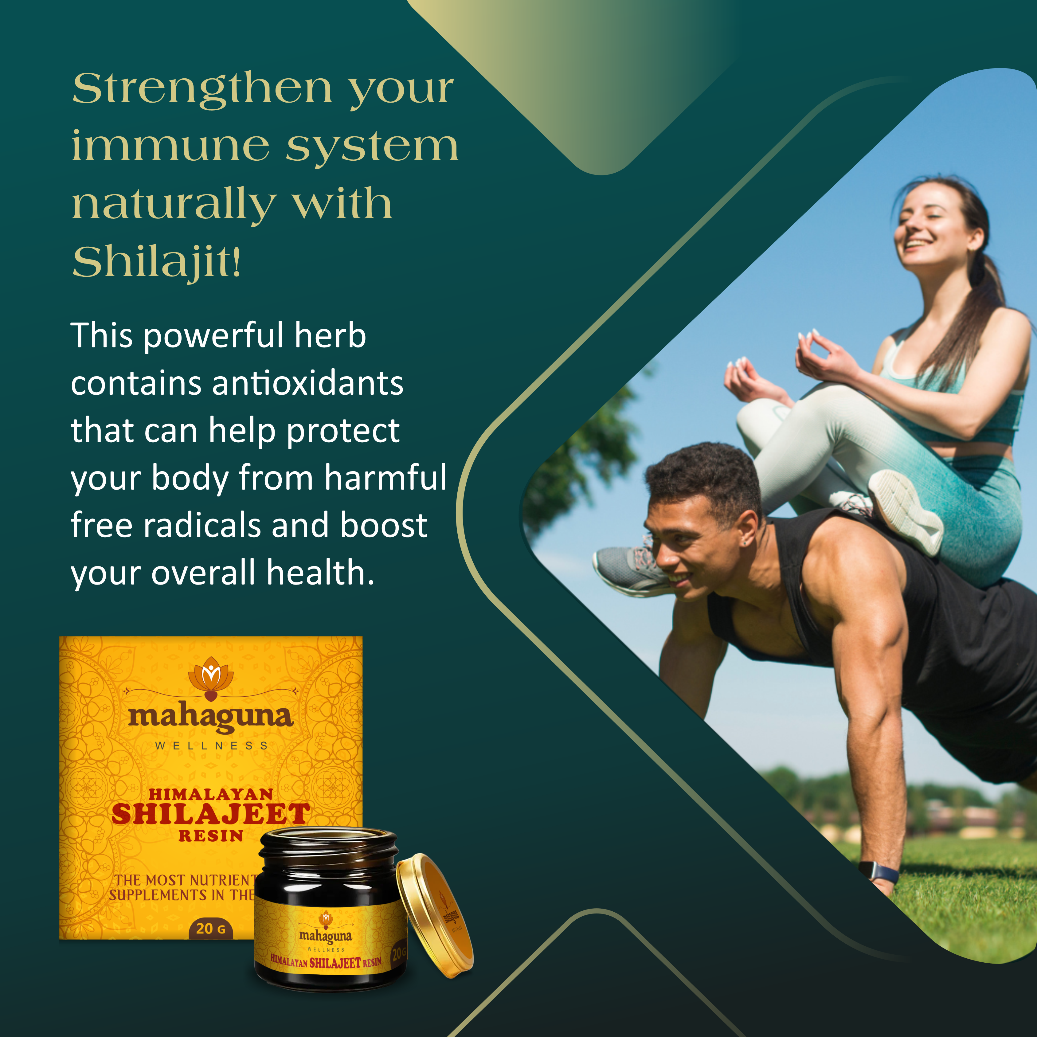 Himalayan Shilajeet Resin