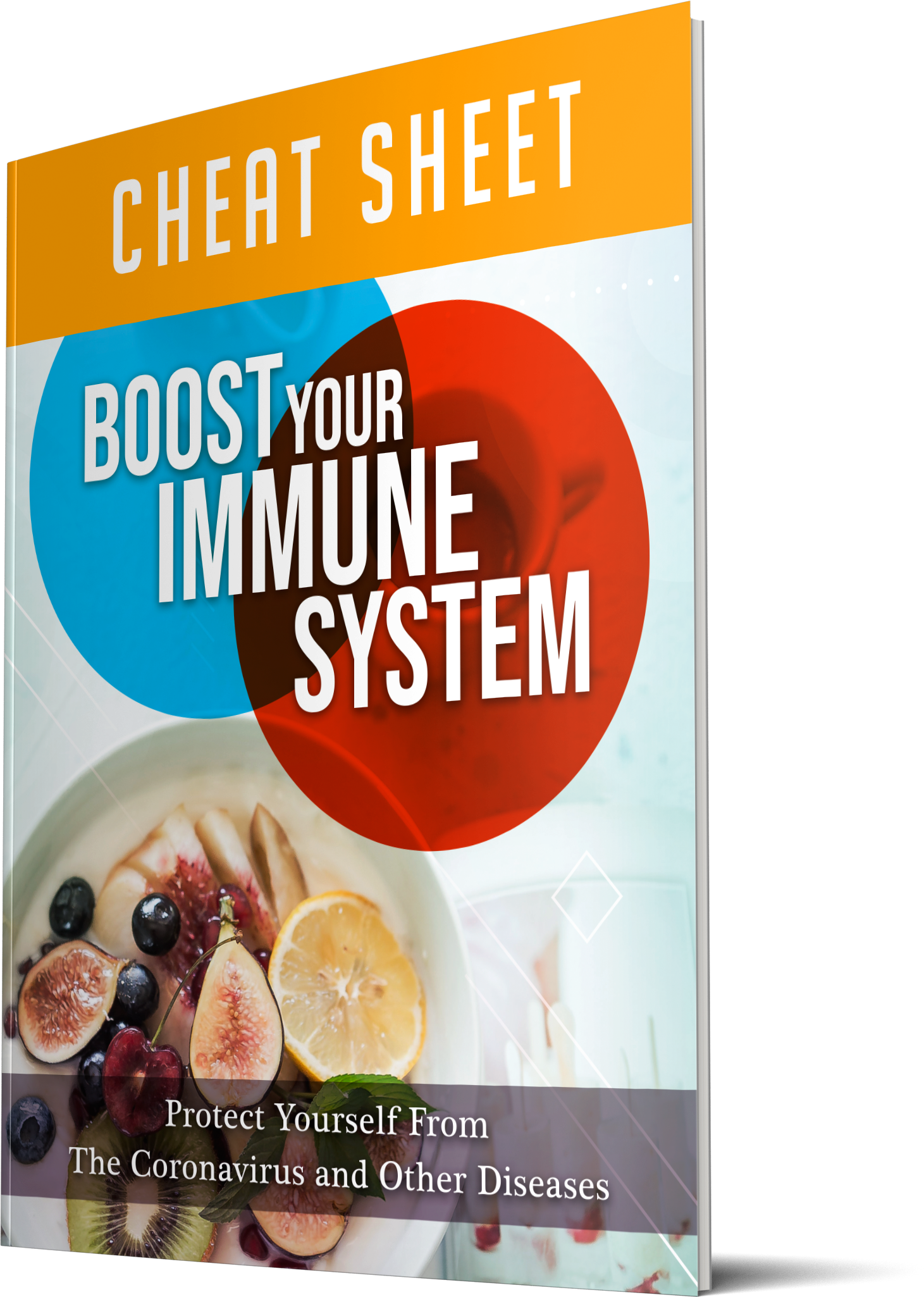 Boost Your Immune System-Ebook With Resell Rigths