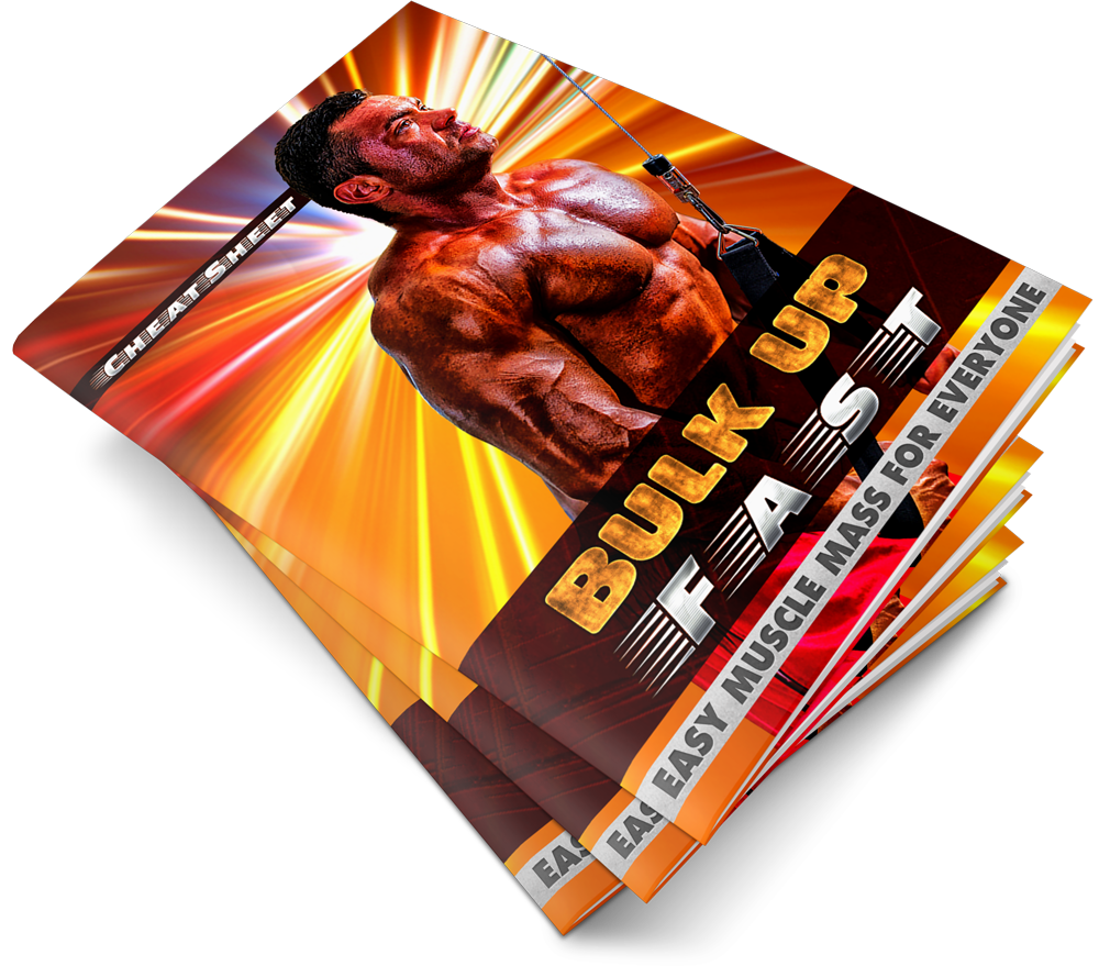 Bulk-Up-Fast-Ebook With Resell Rigth