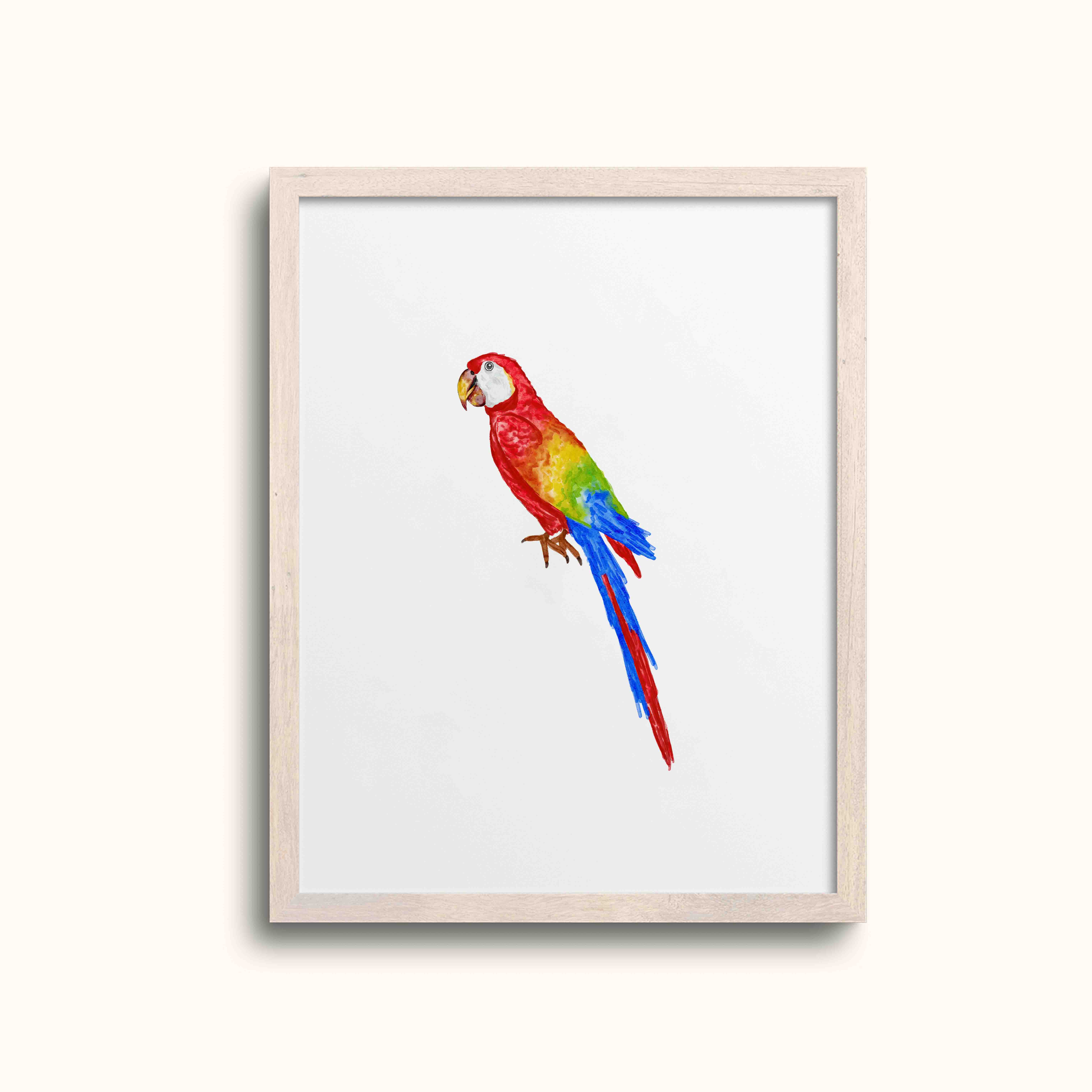 Colorful Parrot Art Print