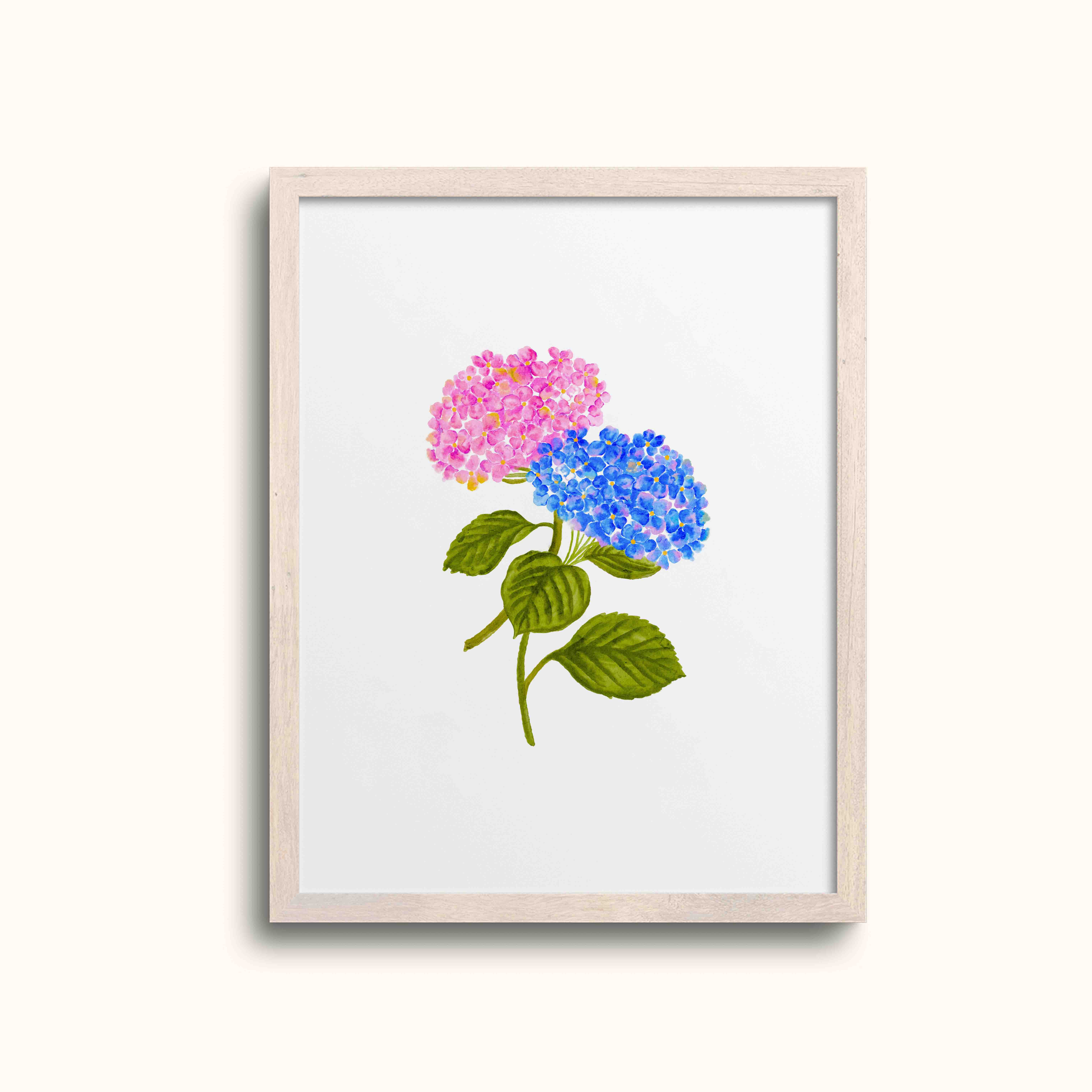 Hydrangea Art Print