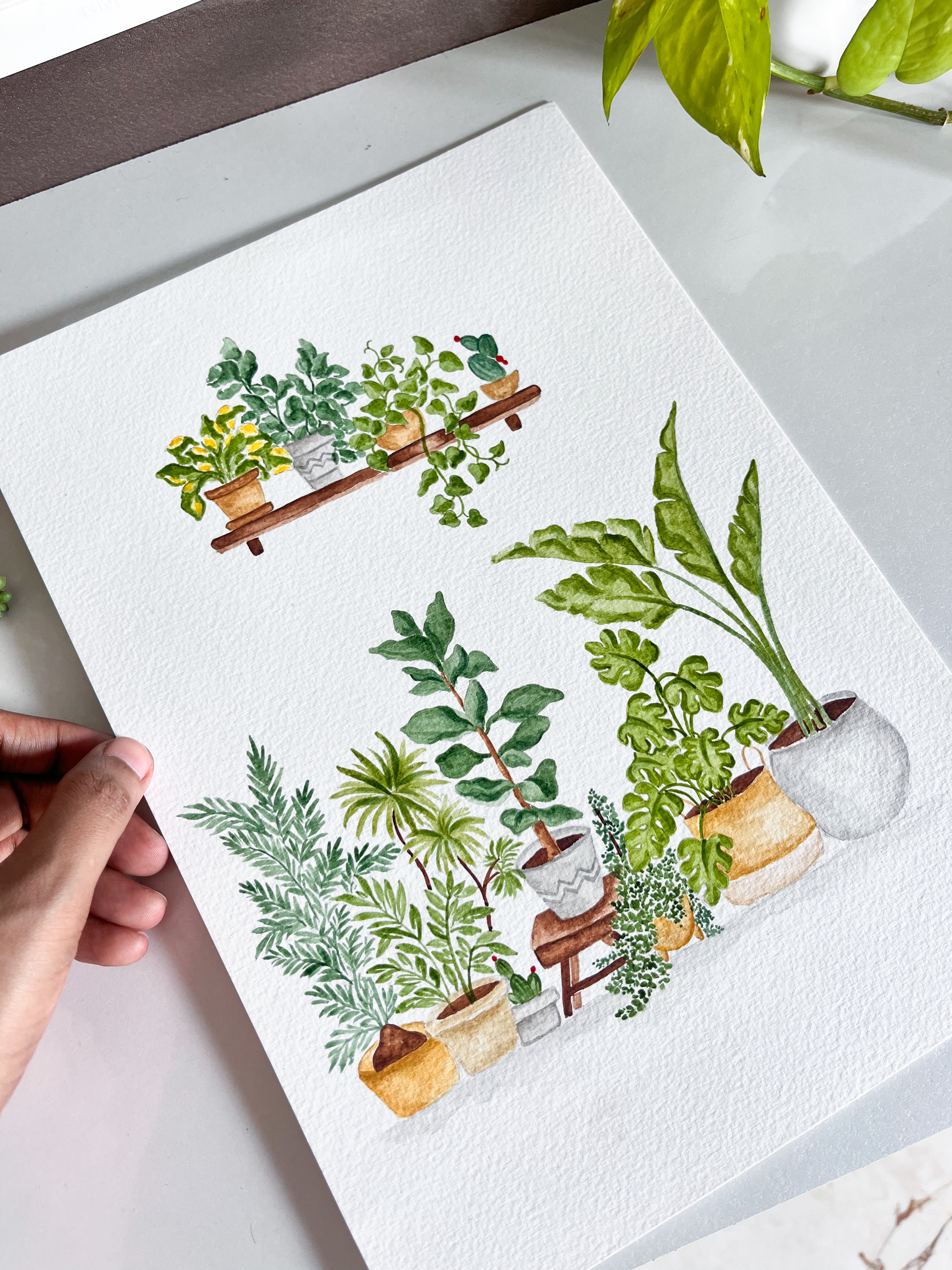 Watercolor Indoor Green Plants
