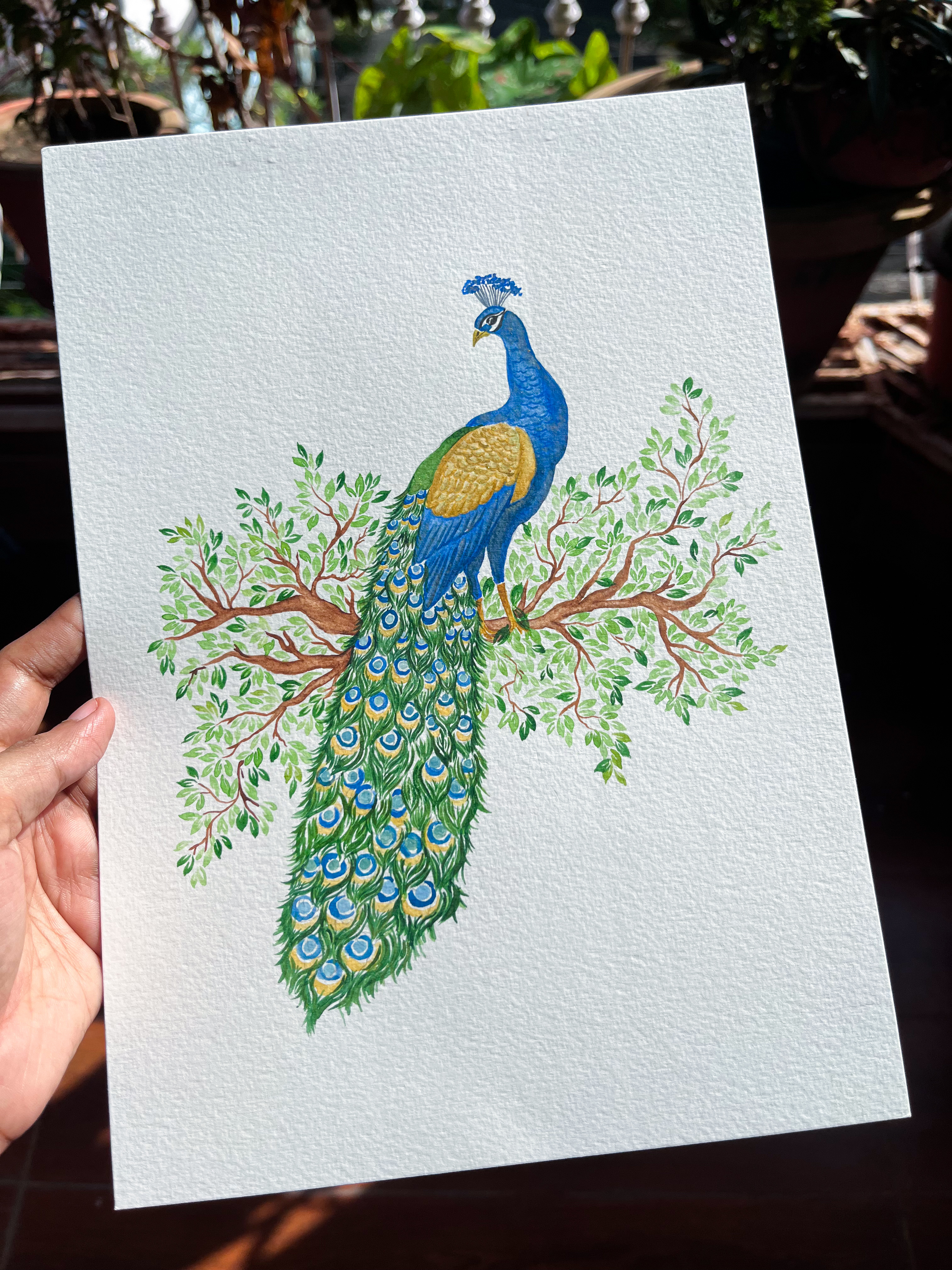 Watercolor Peacock On A Branch