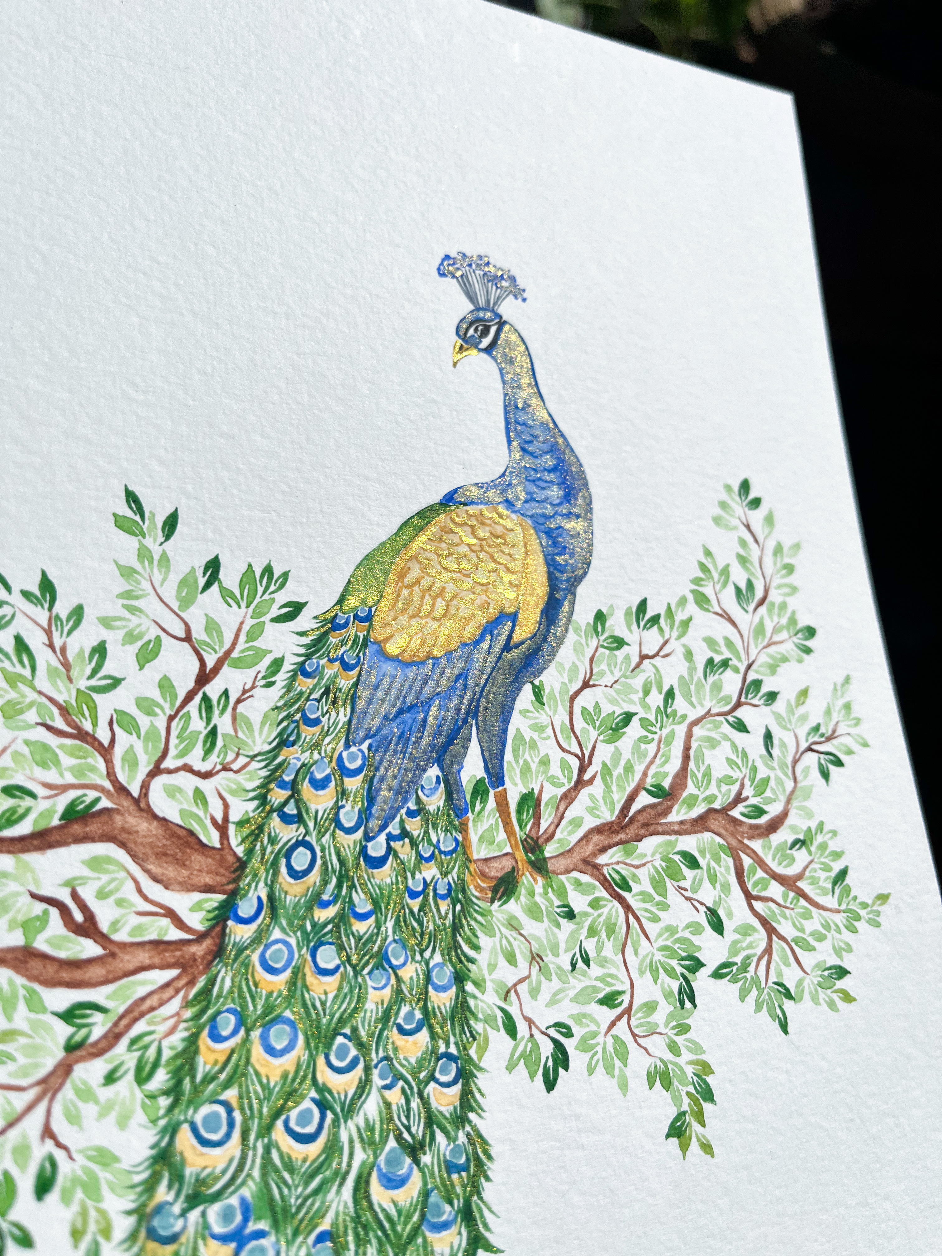 Watercolor Peacock On A Branch