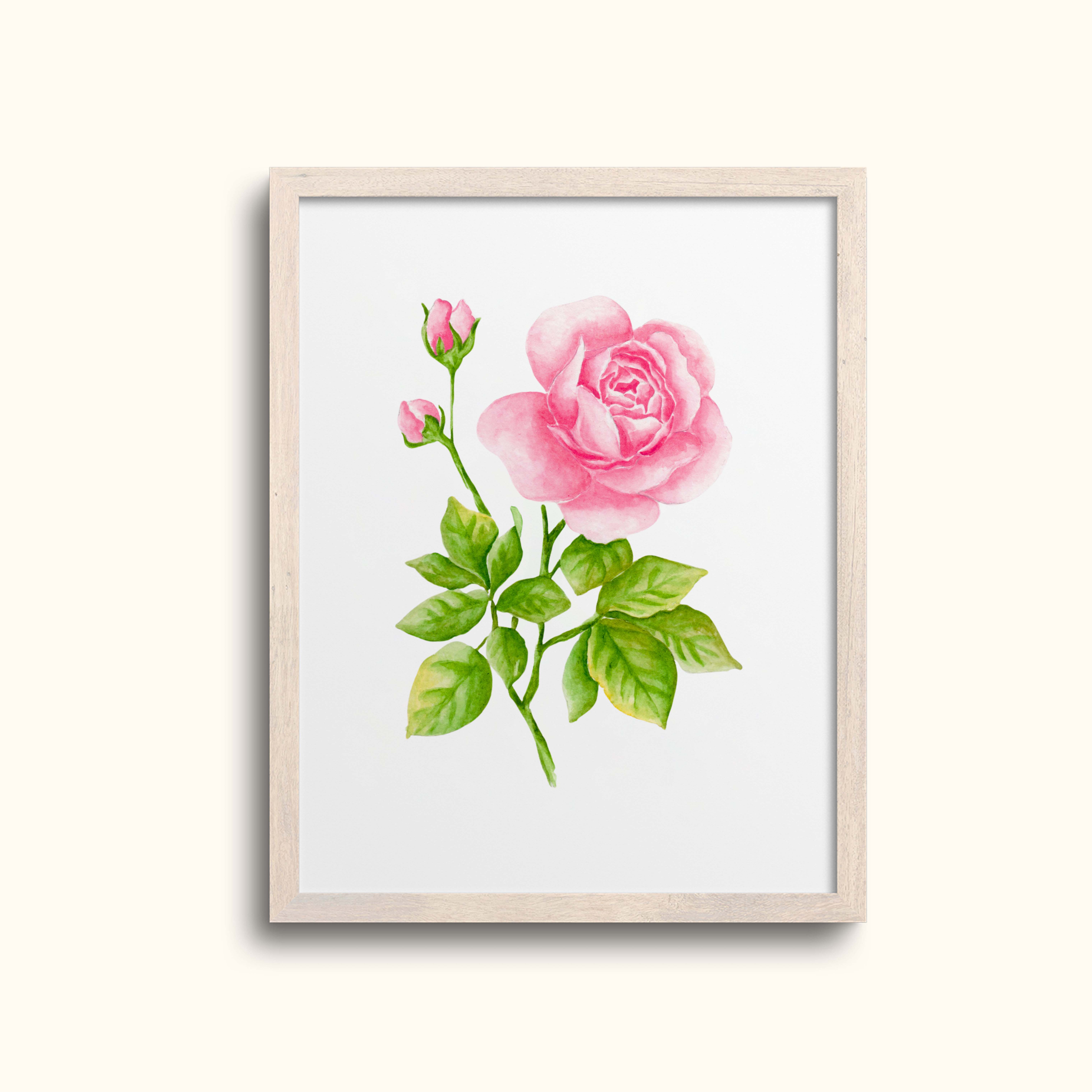 Pink Rose Art Print