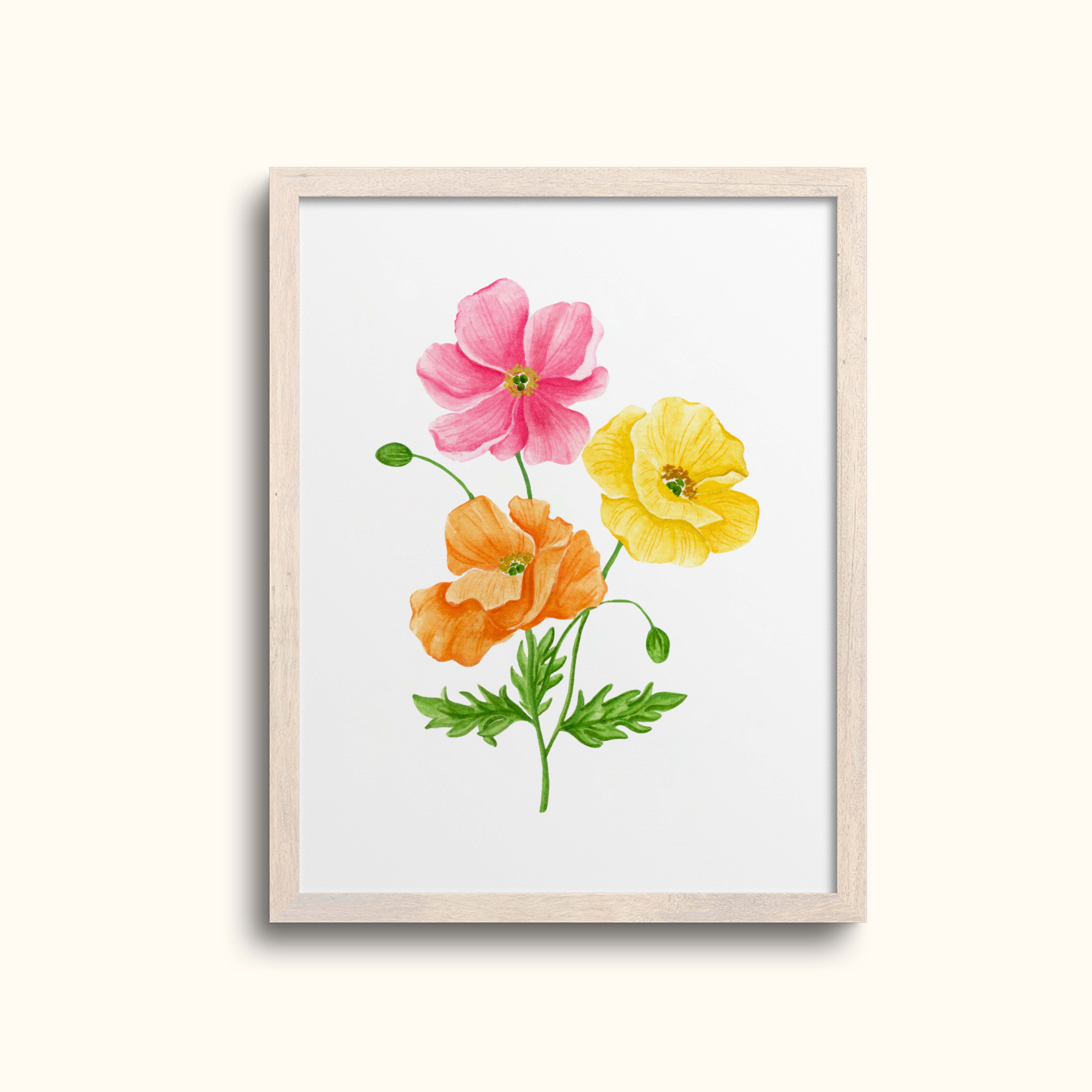 Colorful Poppies Art Print
