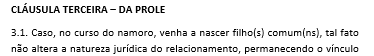 Contrato de Namoro (Português / Inglês)