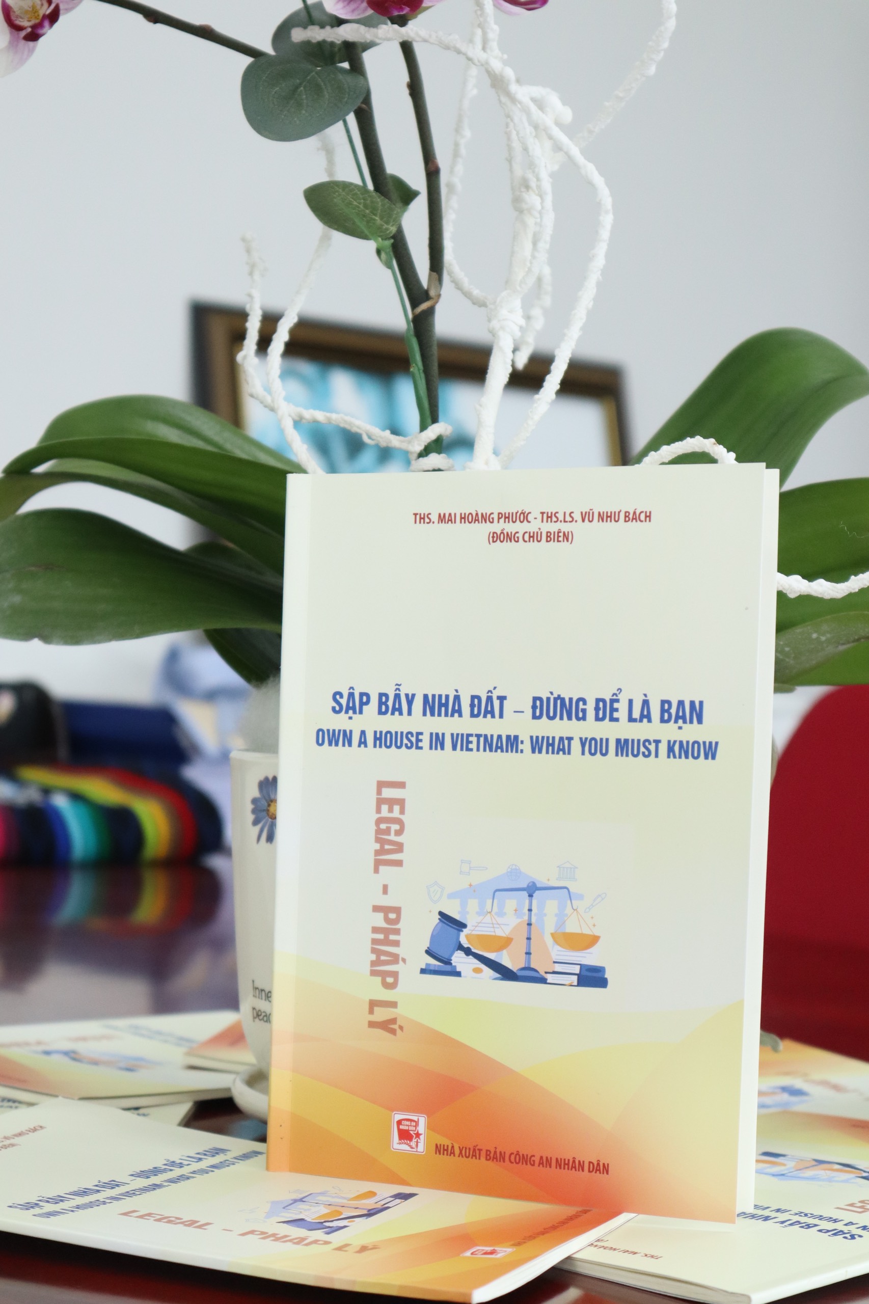 SẬP BẪY NHÀ ĐẤT - ĐỪNG ĐỂ LÀ BẠN