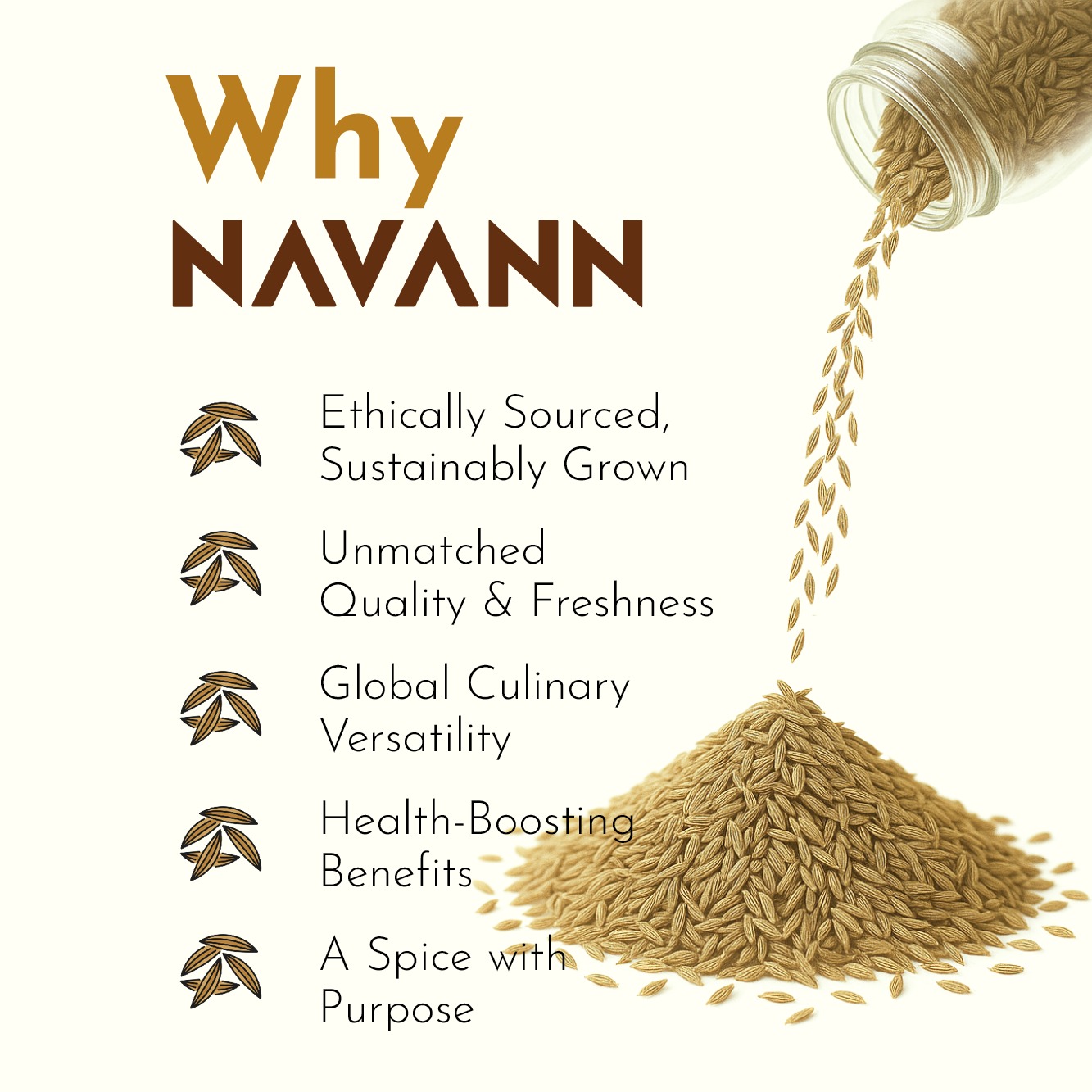 Navann Coriander Powder Premium 
