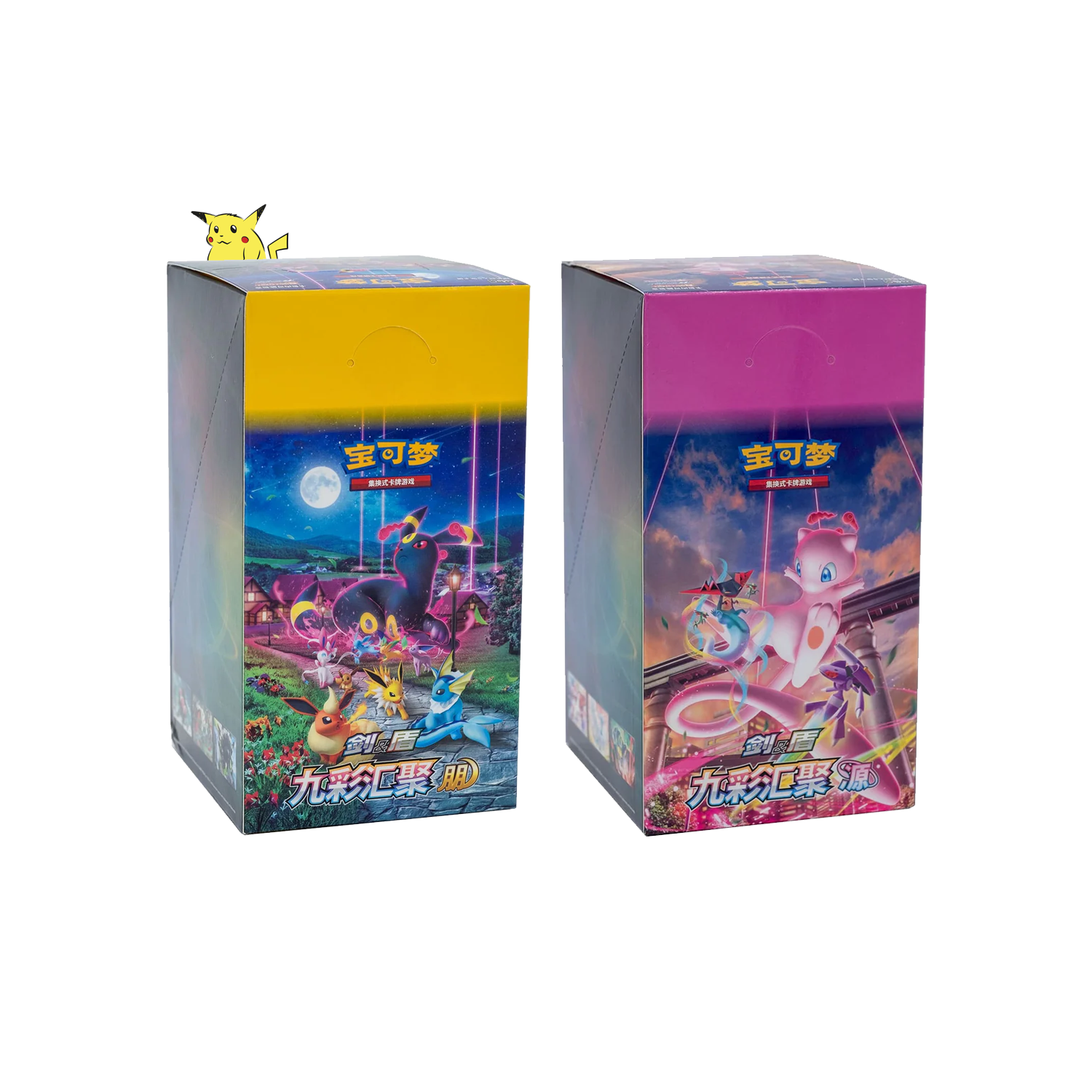 Duo de Display Slim "Nine Colors Gathering"