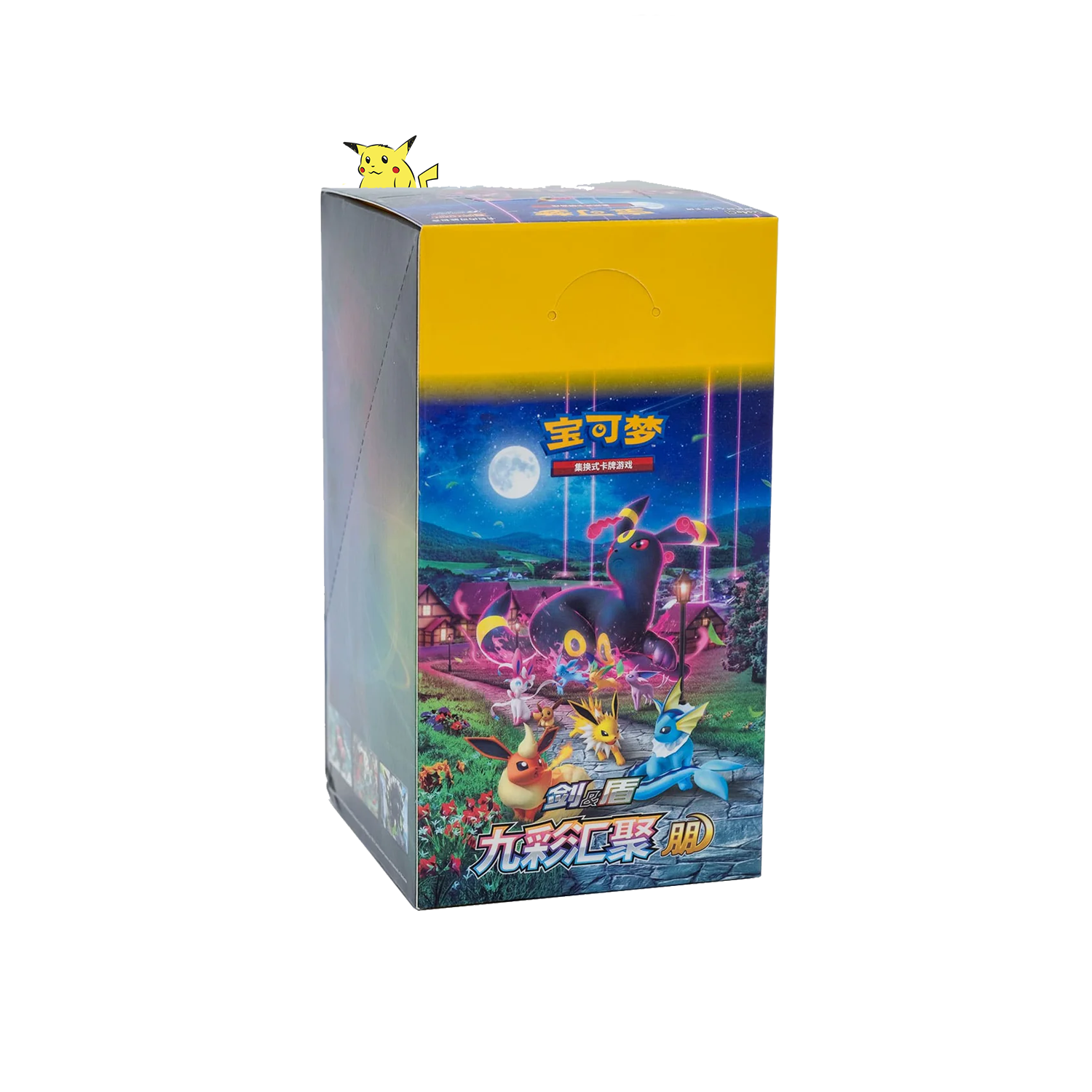 Display Slim "Nine Colors Gathering Friends"