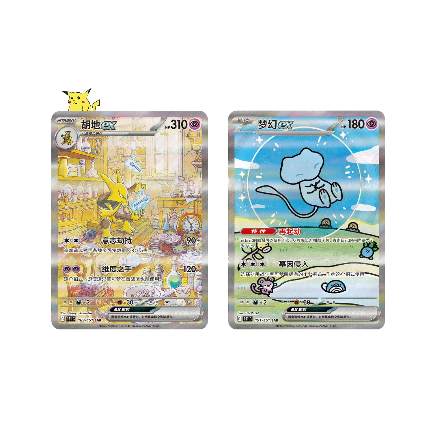 Display Slim "151 Surprise"