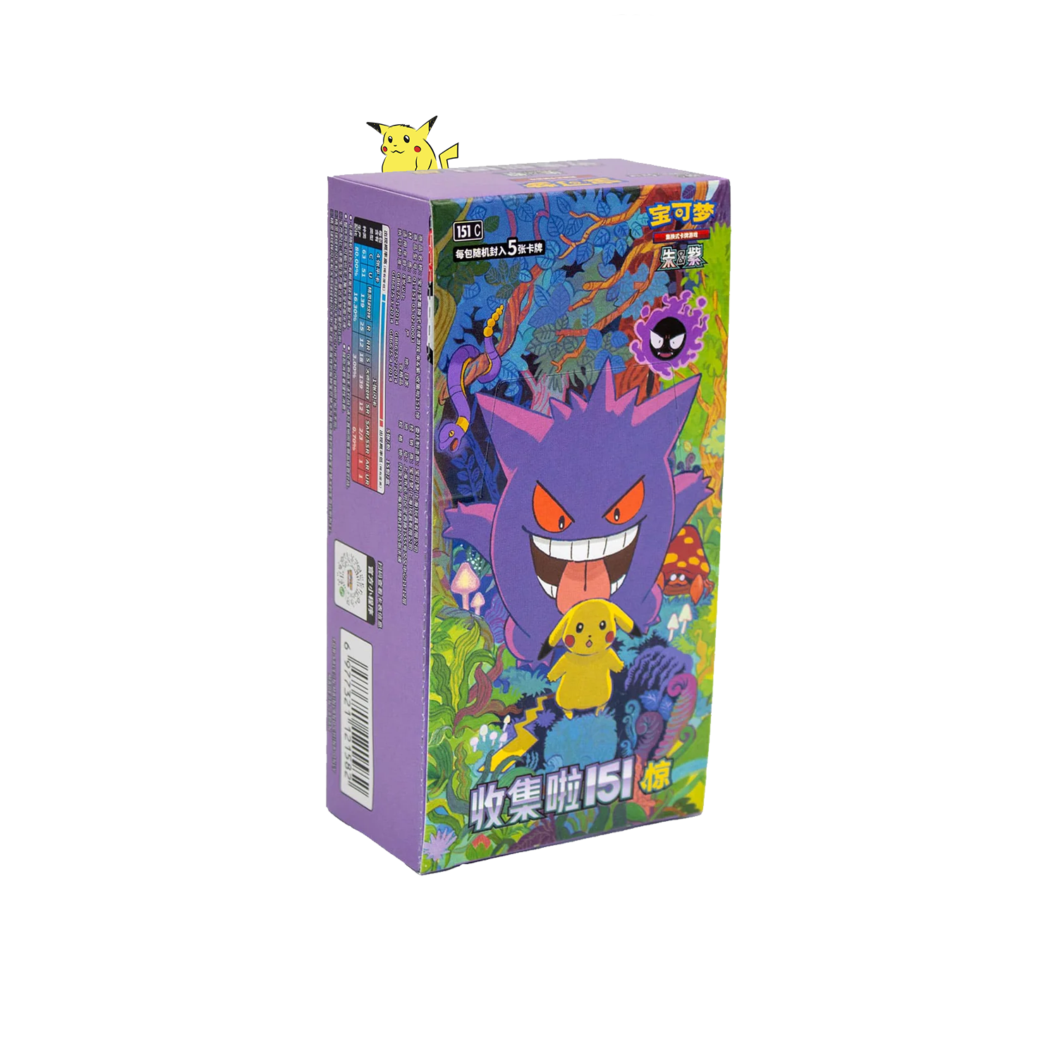 Display Slim "151 Surprise"