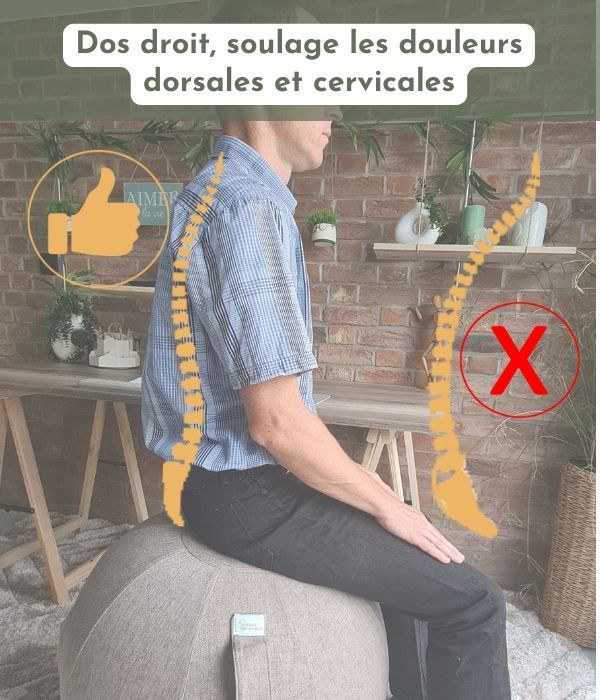 Ballon d'assise ergonomique 4 modèles - 2 Tailles