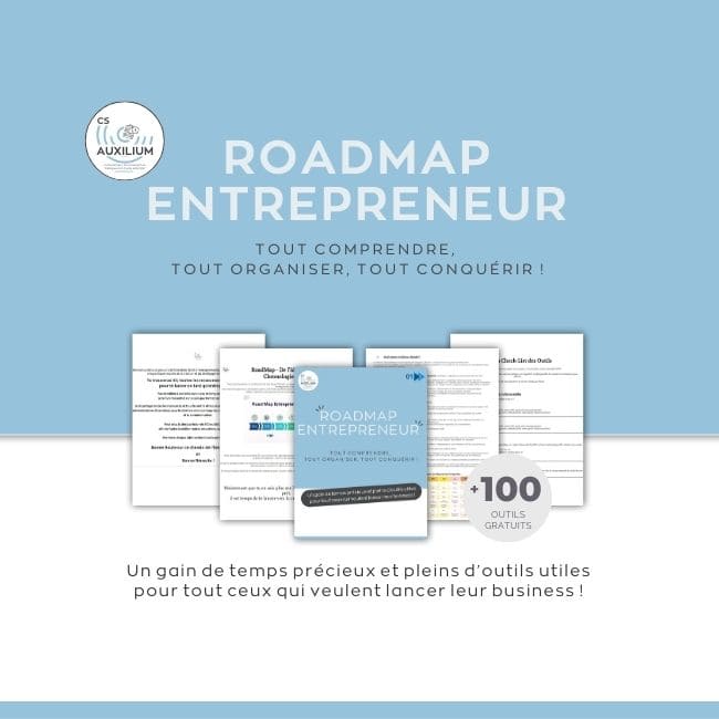 RoadMap Entrepreneur : Tout Comprendre, Tout Organiser, Tout Conquérir !
