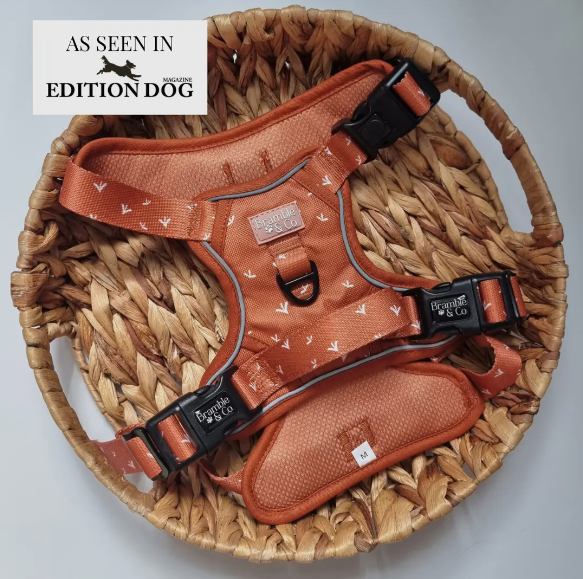 Bramble and Co Harness