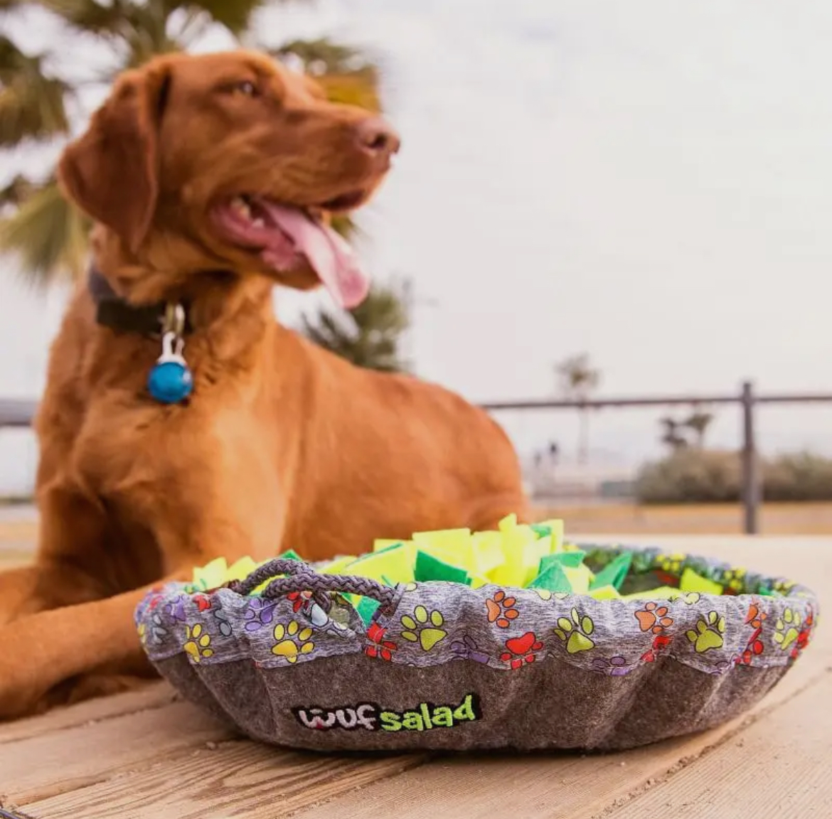 Snuffle Mat