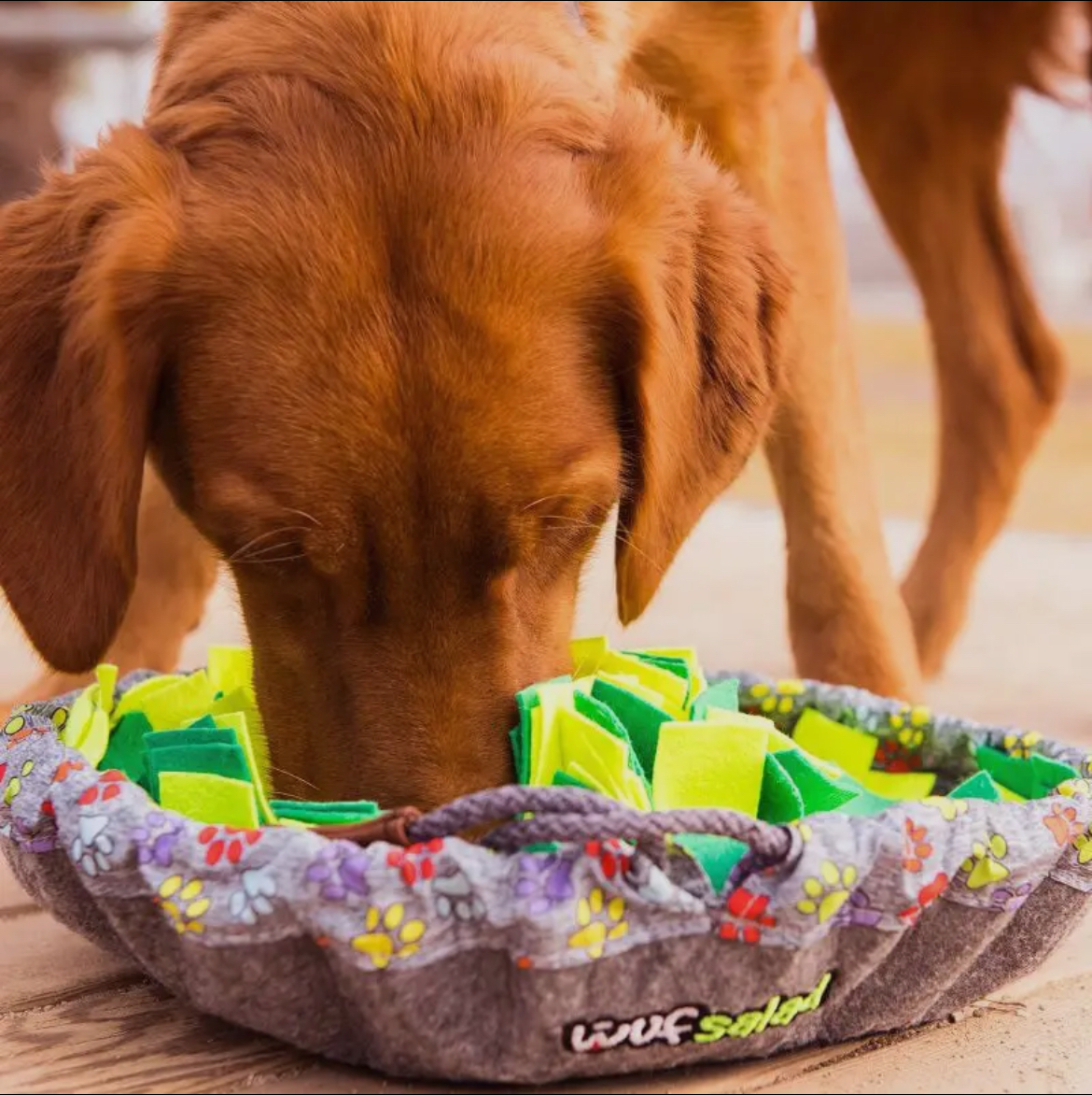 Snuffle Mat