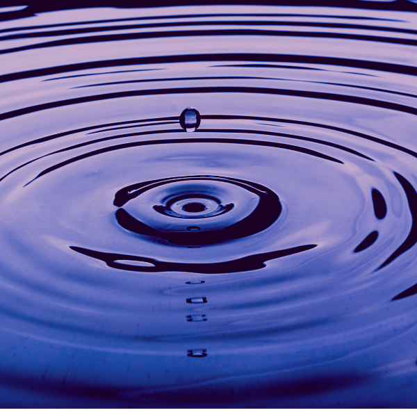 Foundational Group Experience