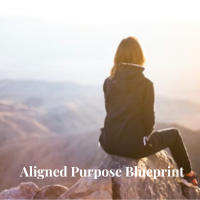 Aligned Purpose Blueprint