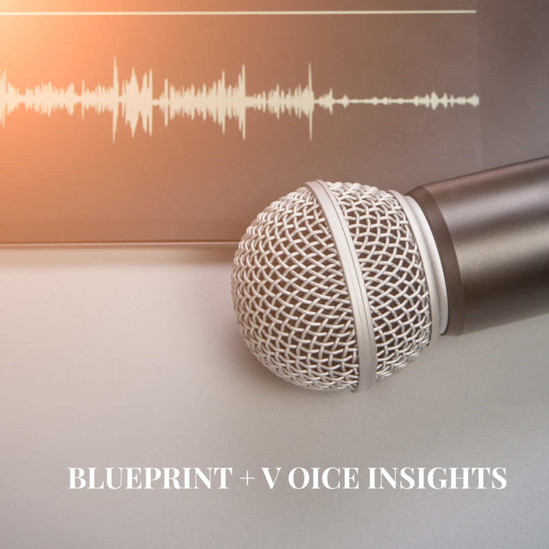 Blueprint + Voice Insights