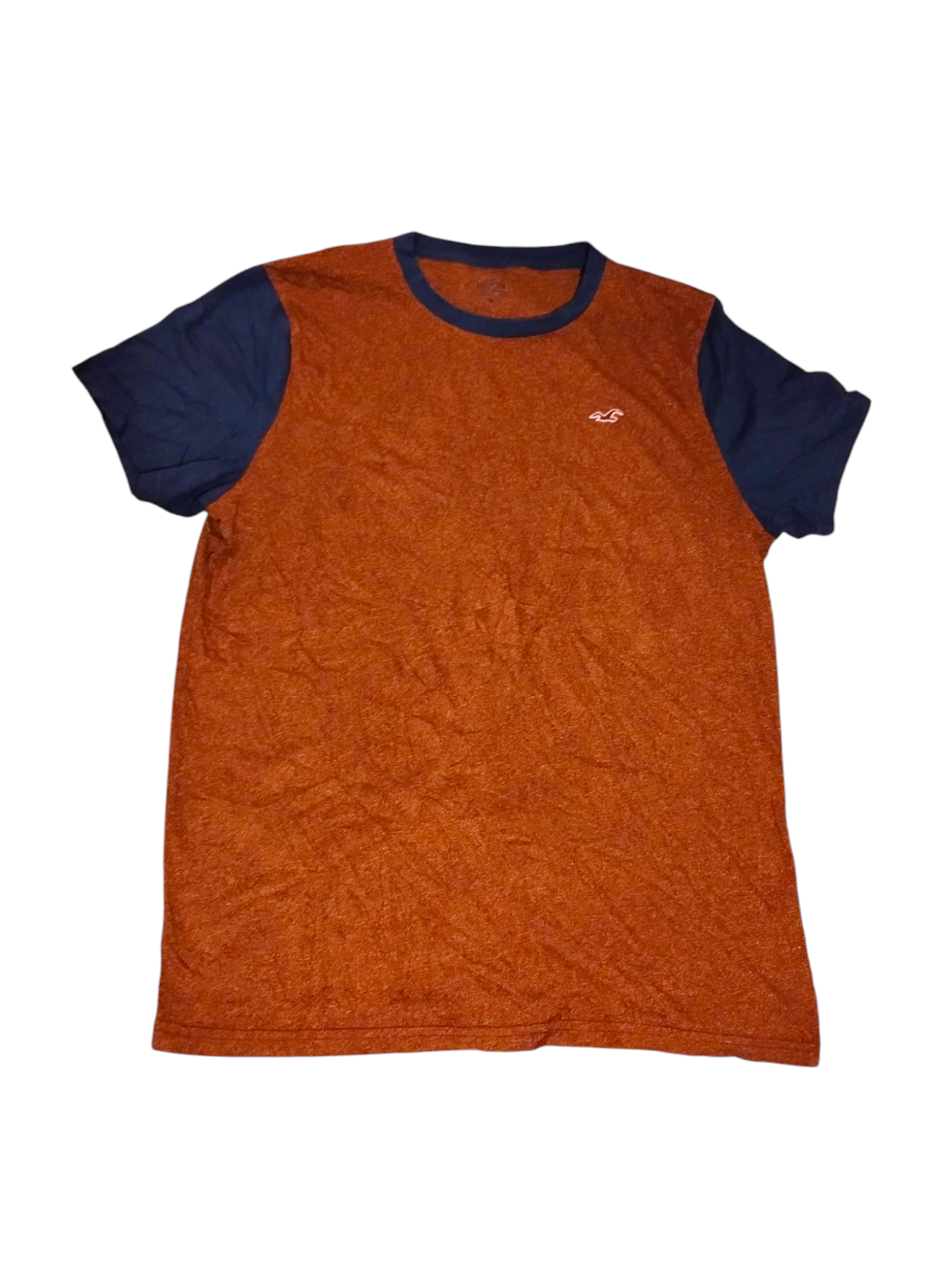Playera Casual HOLLISTER TALLA X/L